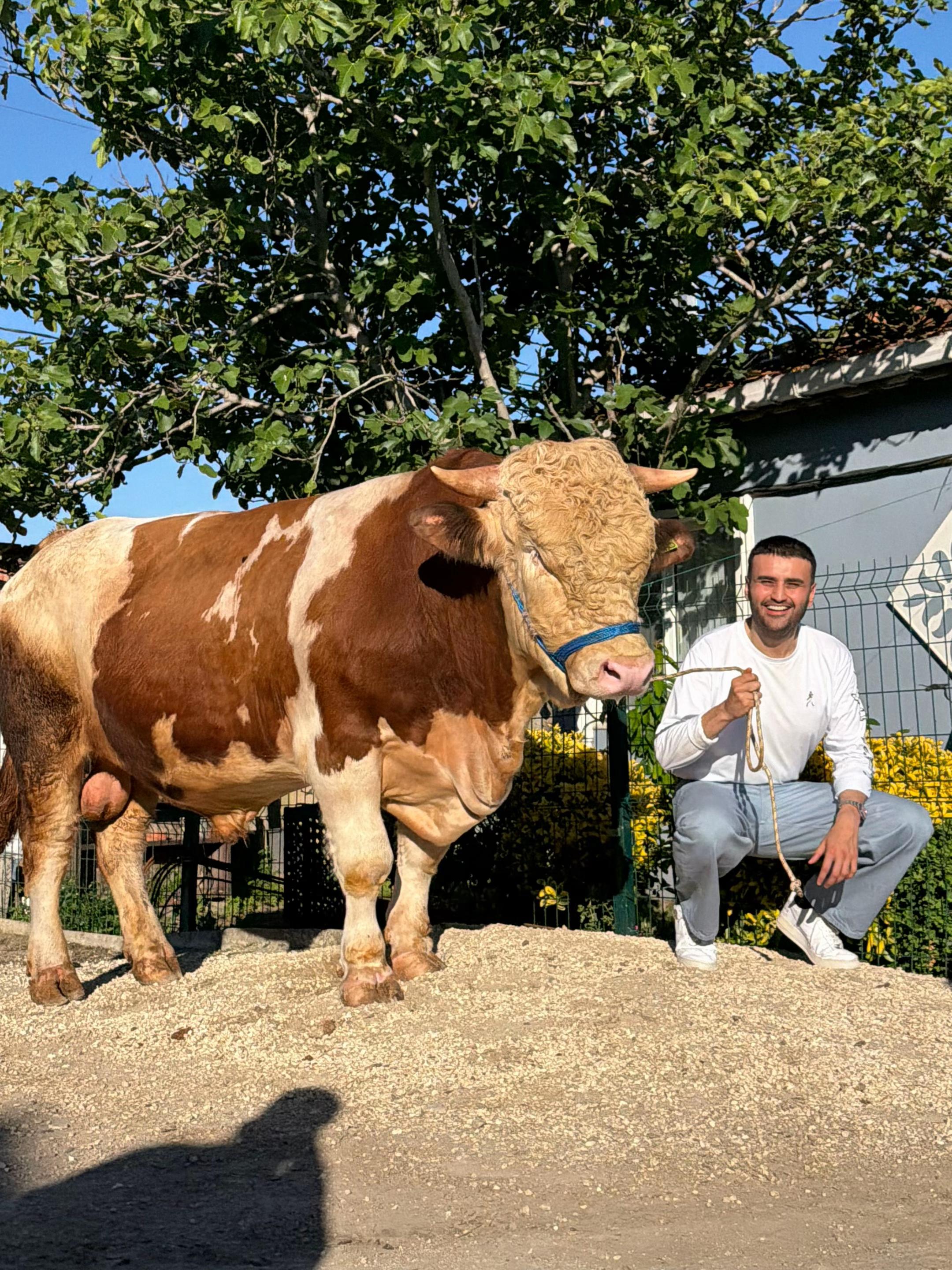 @cznburak