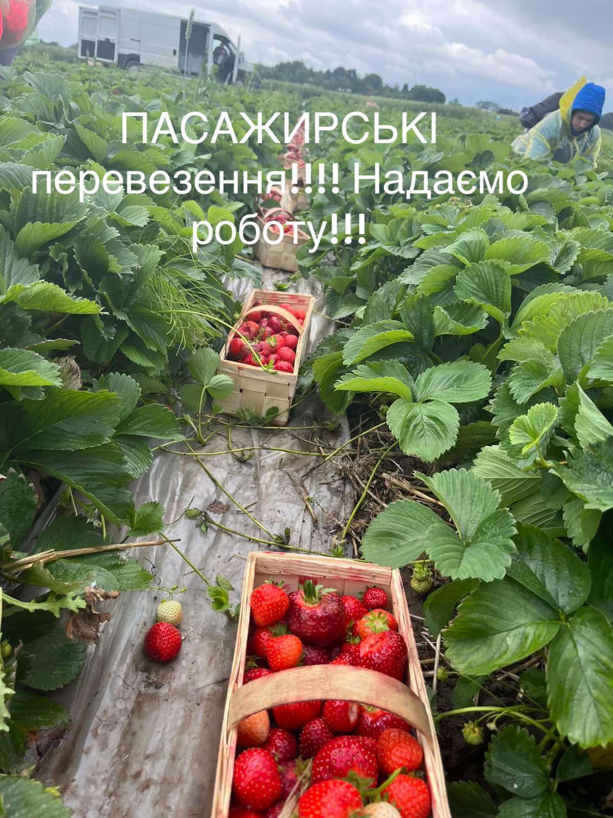 @Світлана