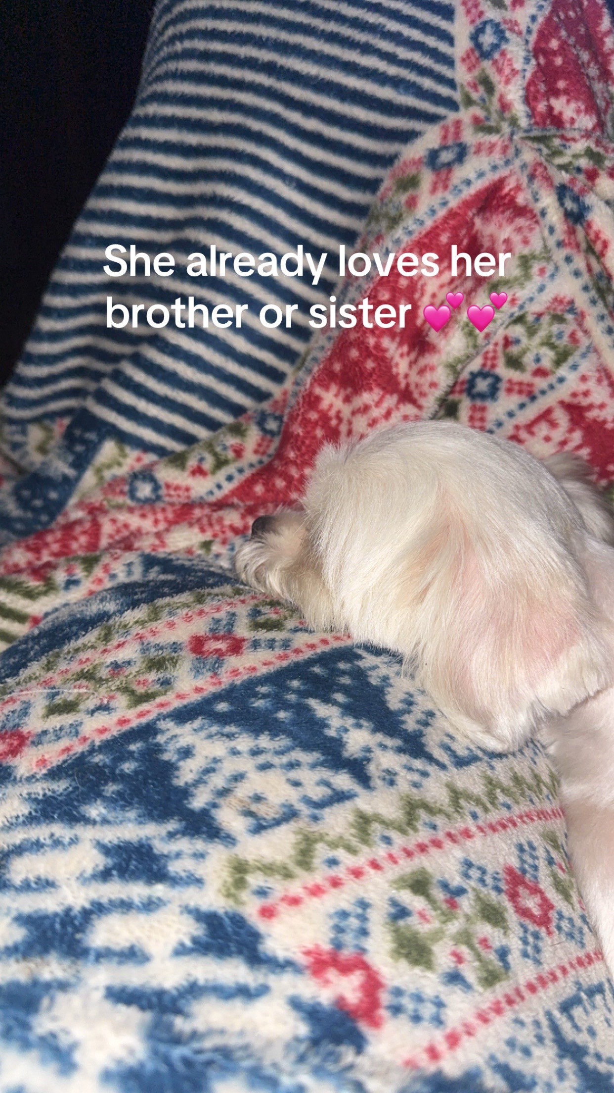 @Taylor💕