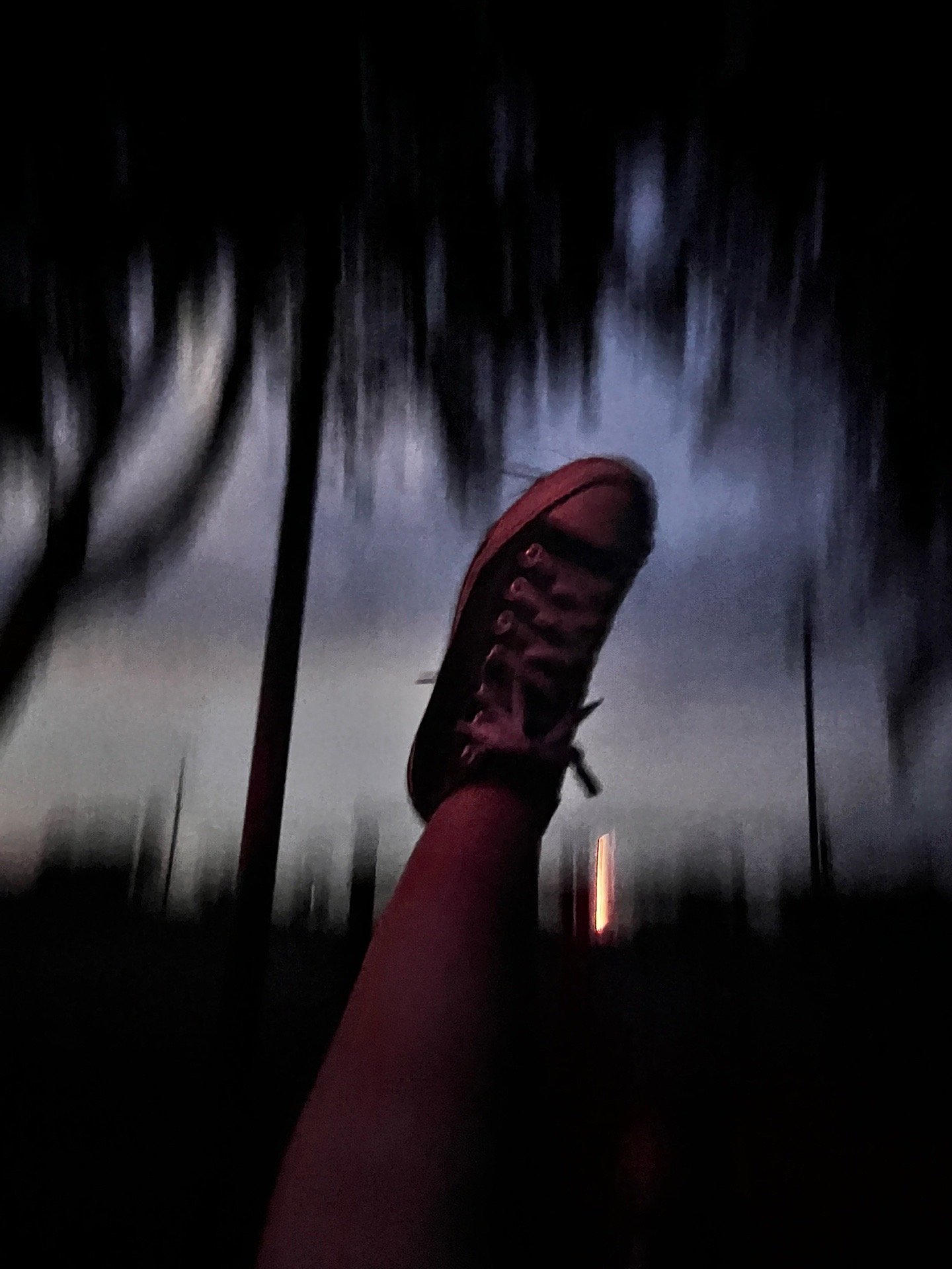 @𝓐𝓊𝓭𝓇𝓮𝓎 𝓚𝒶𝔂 🎼💜🪳