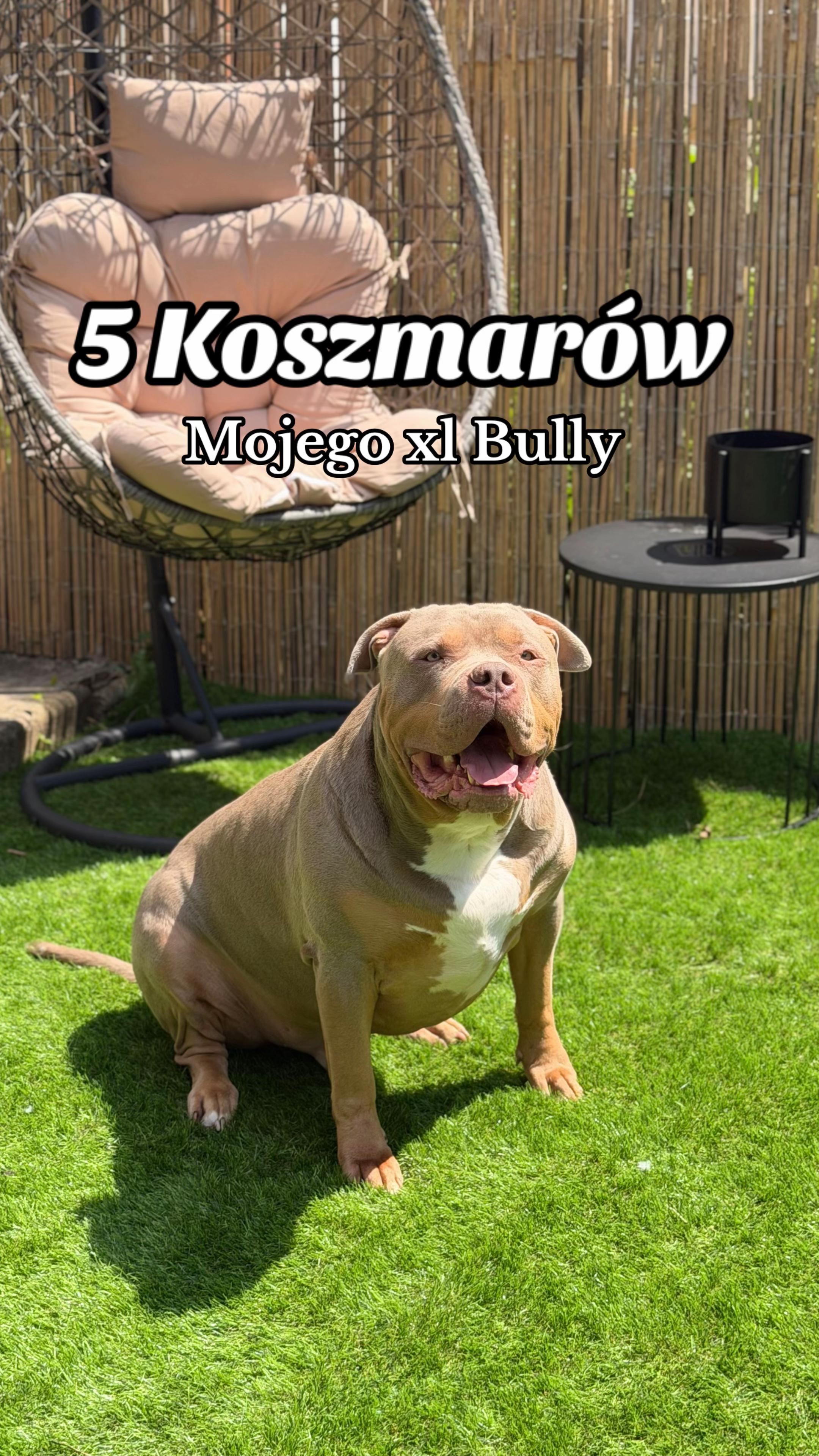 @MalwinaaOndyczBeauty