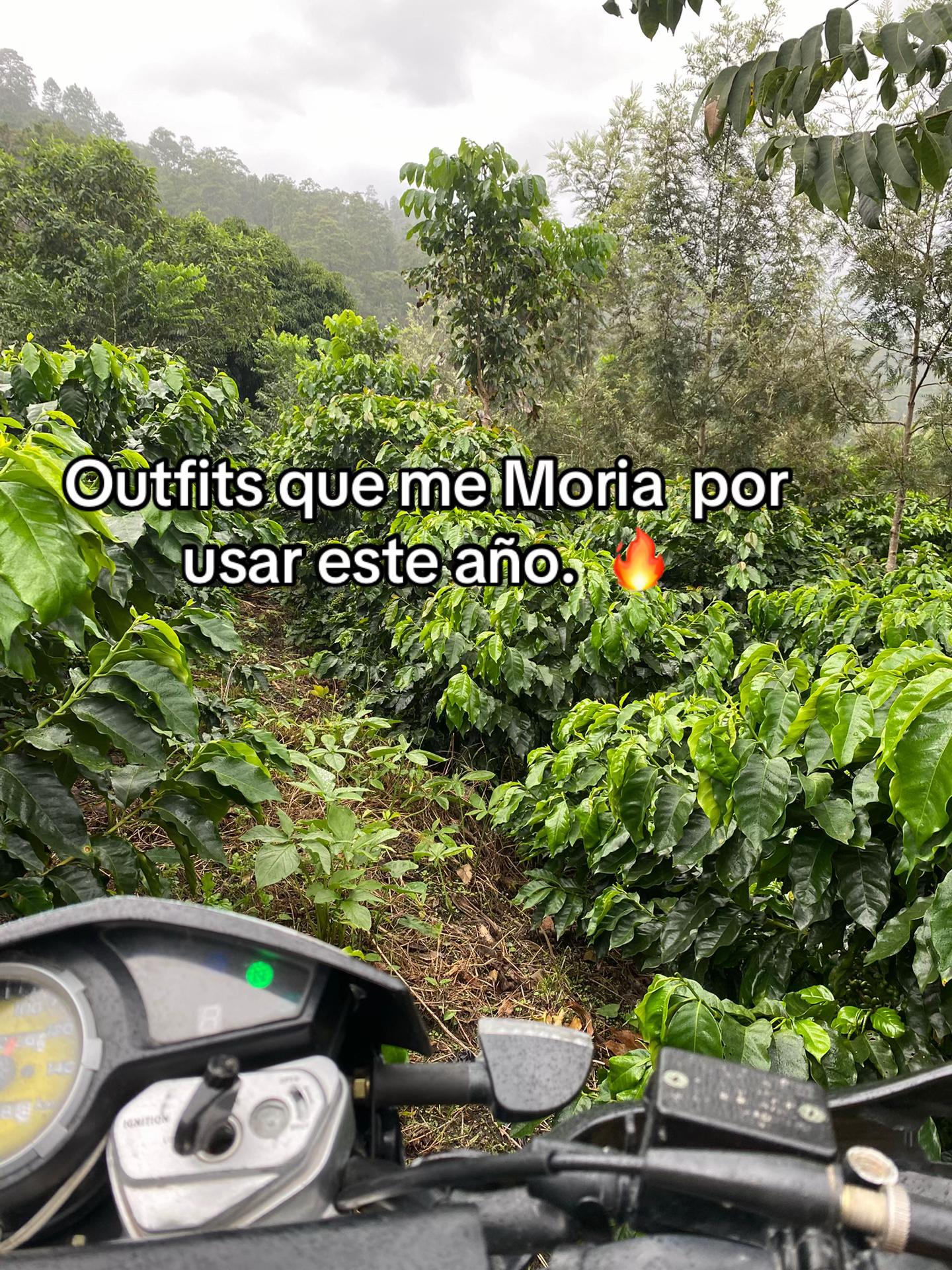 @BISMARK_075🐌⚡️