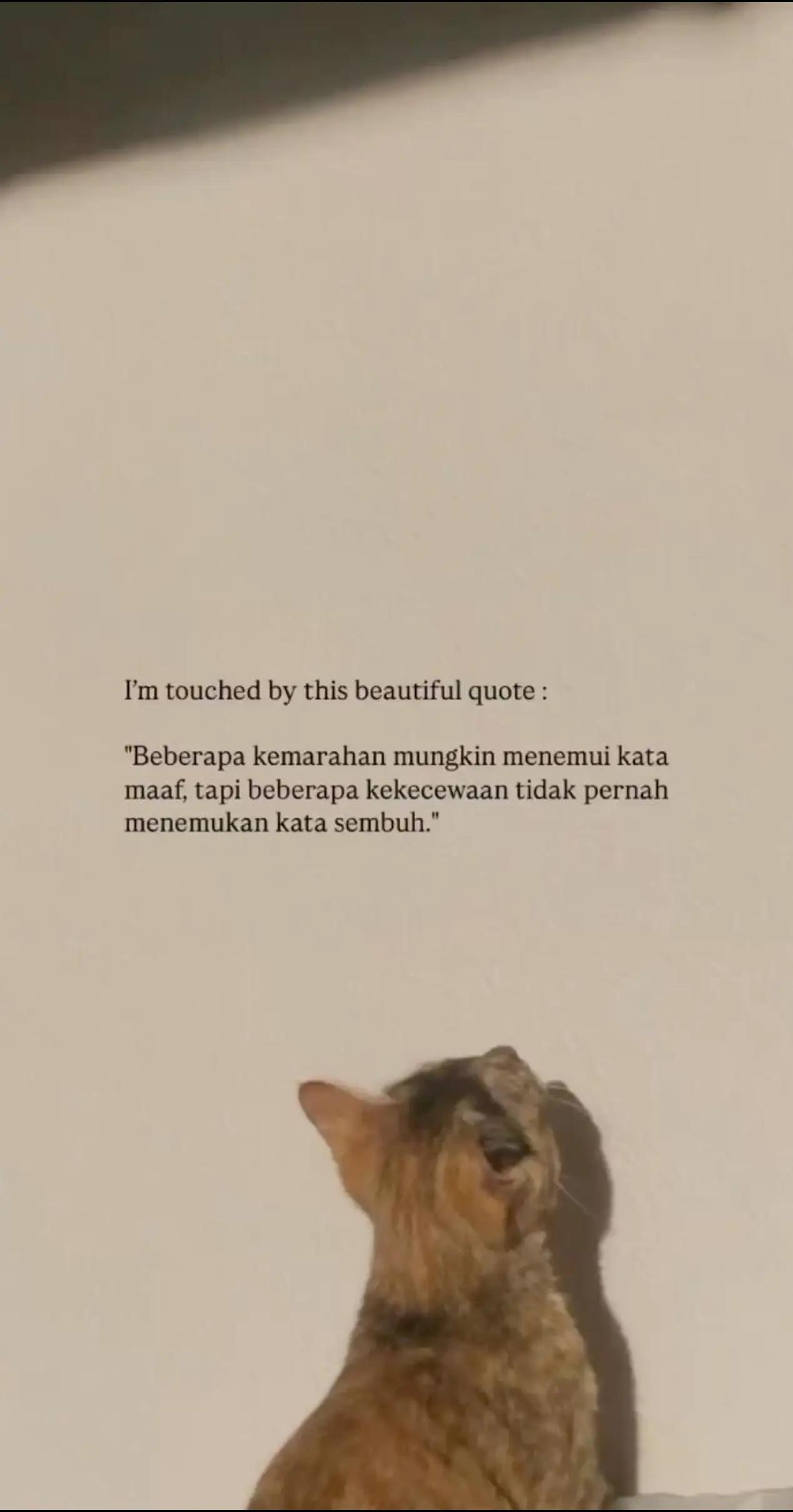 @Bani Kim