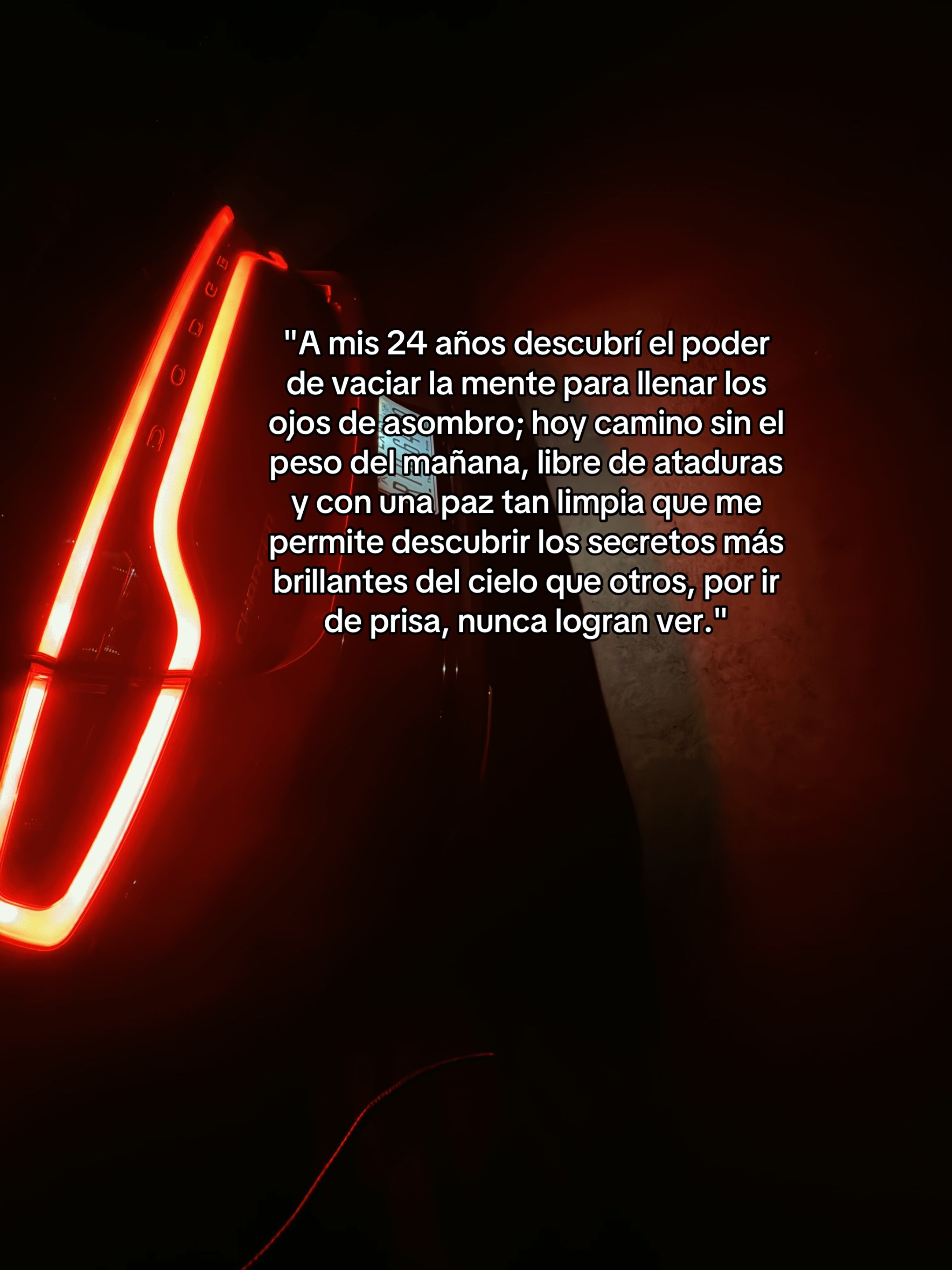 @oscar_sxt