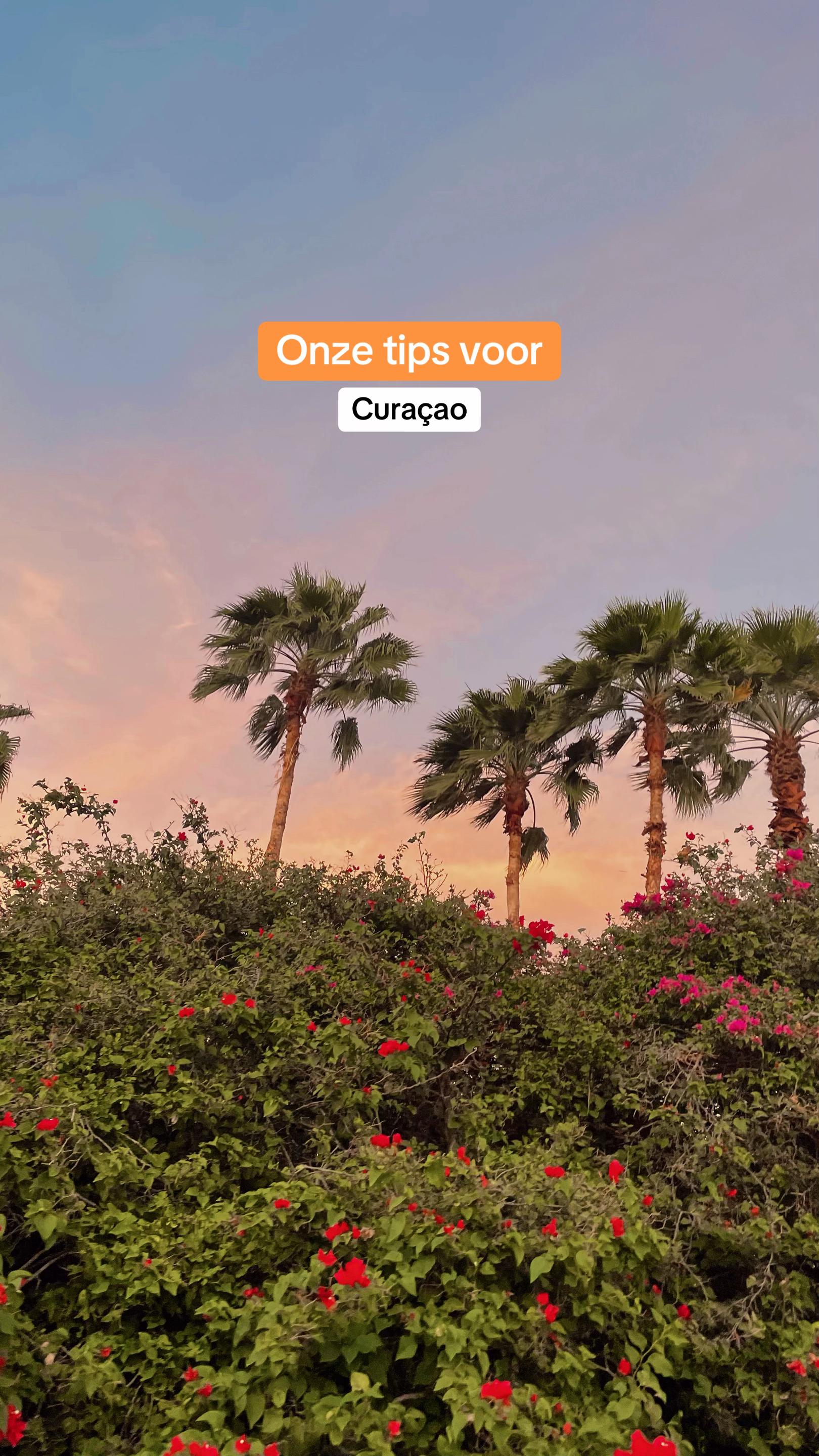 @D-reizen