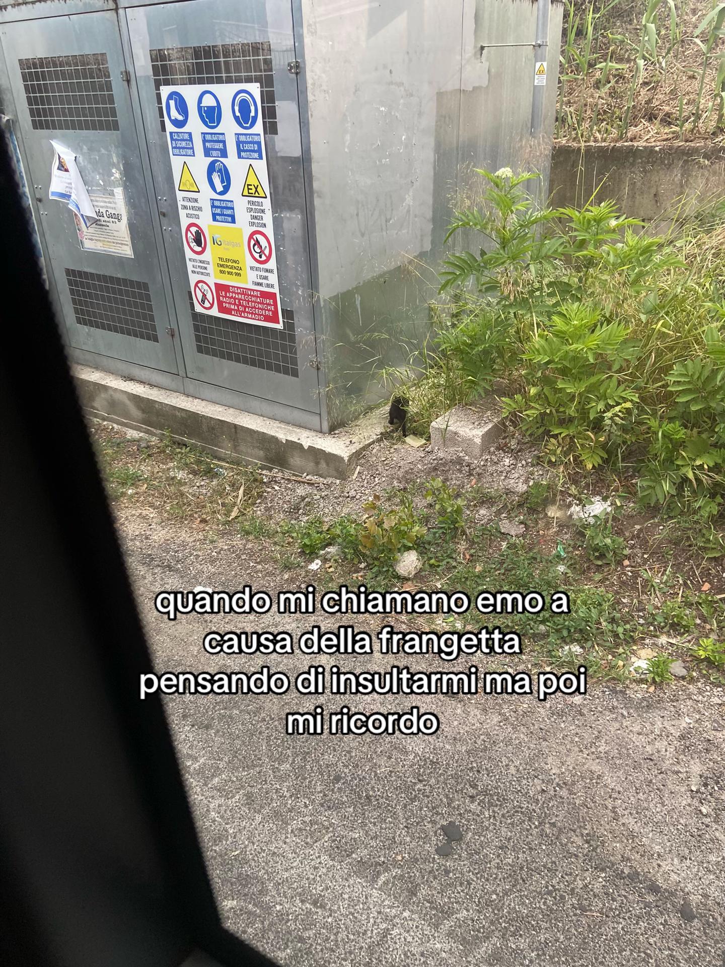 @𝖑𝖎𝖑𝖎𝖙𝖍._