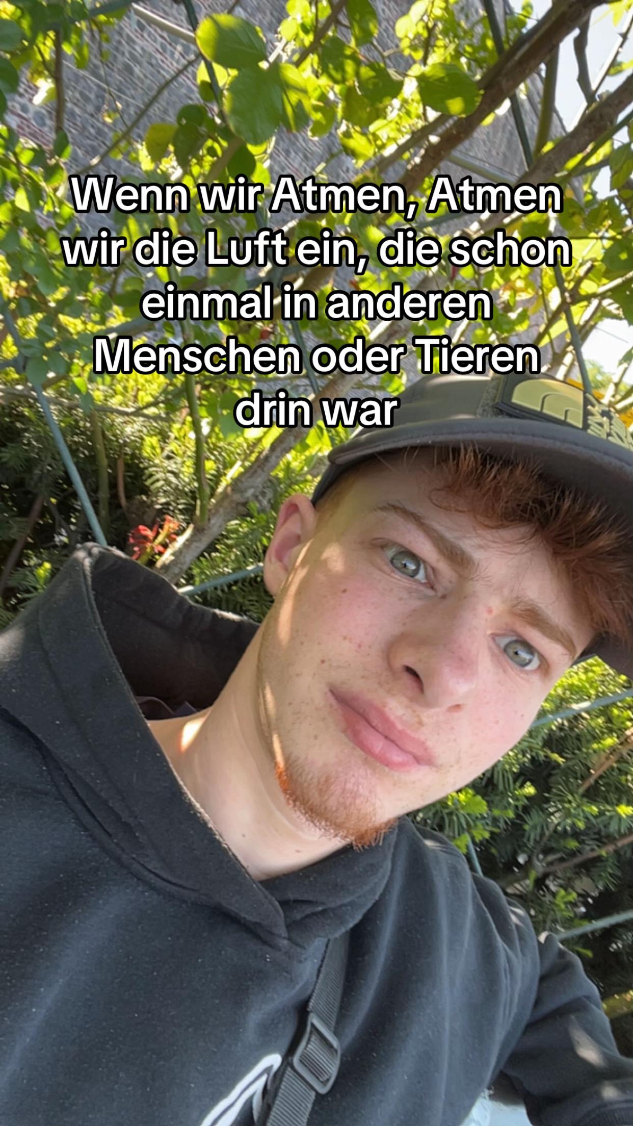 @dimi_Ginger