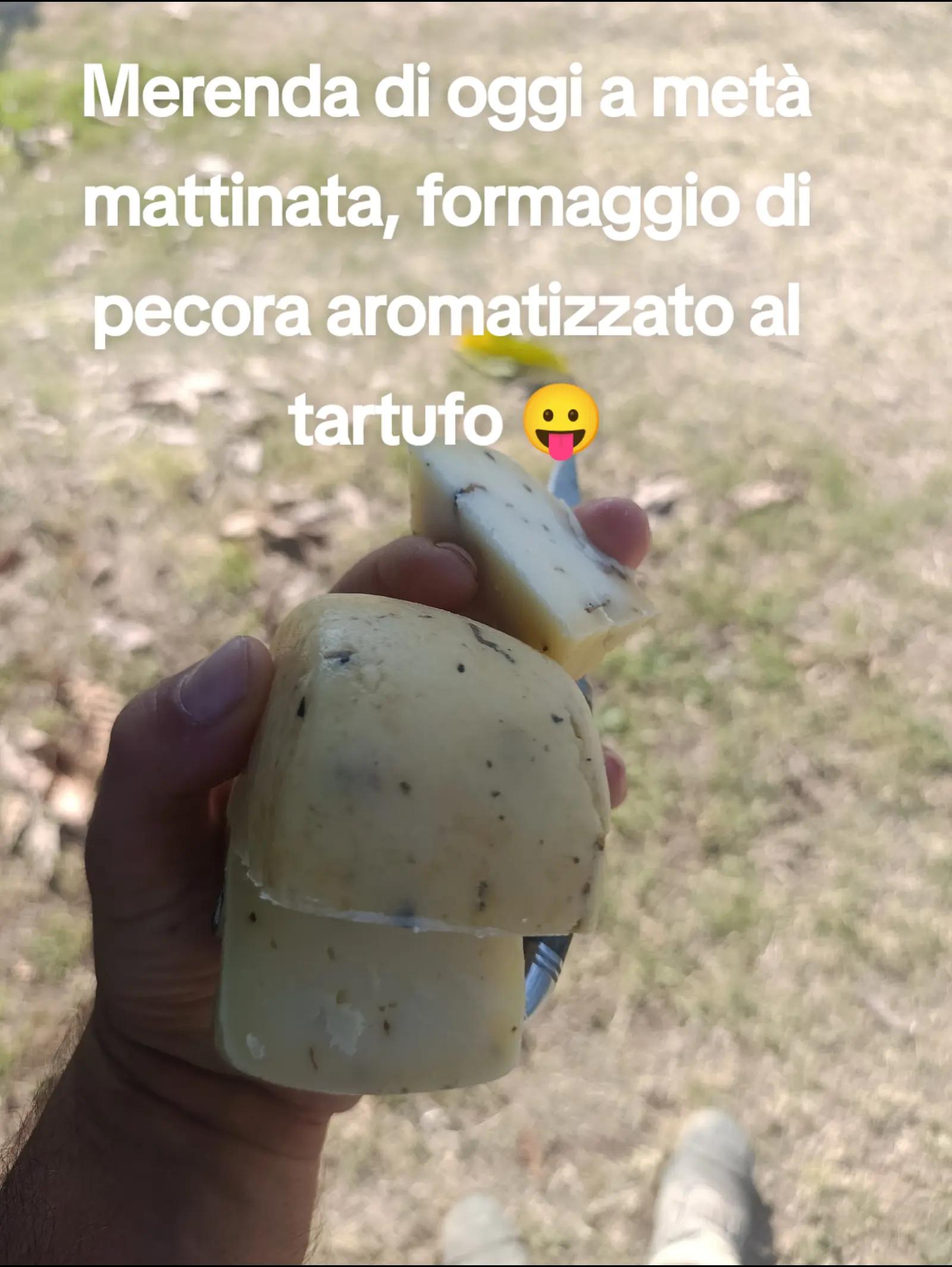 @GHISA🏋♂️🦍E AGRICOLTURA👷♂️