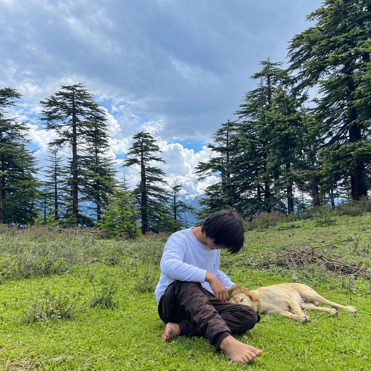@Dr Shami❤️