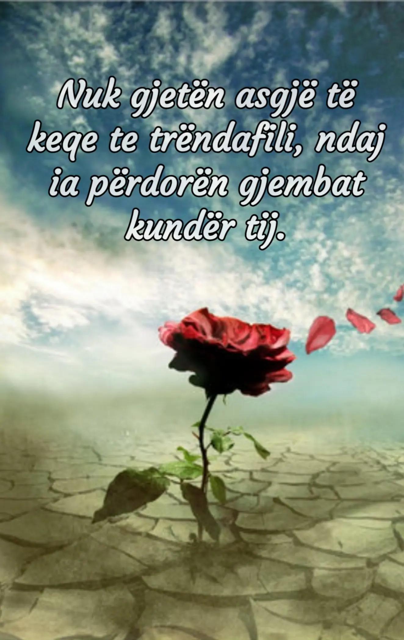 @tijatija