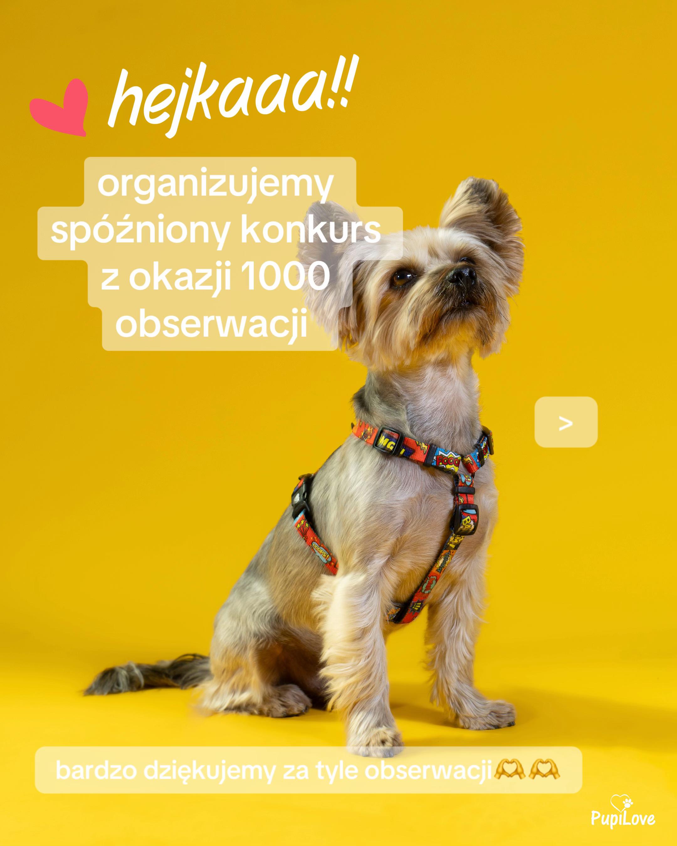 @🕊️
