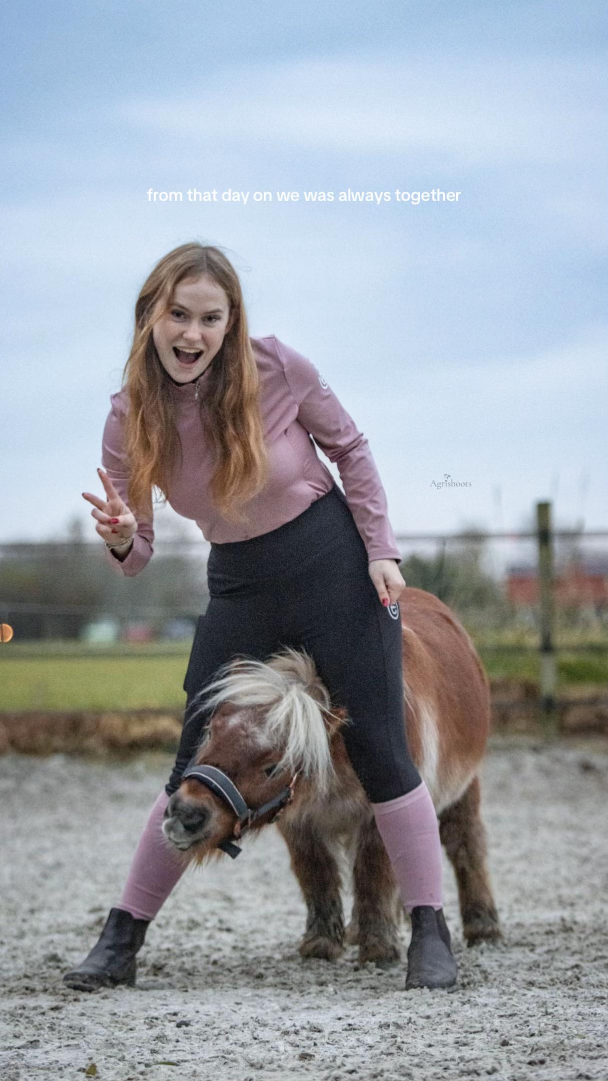 @idh_horses