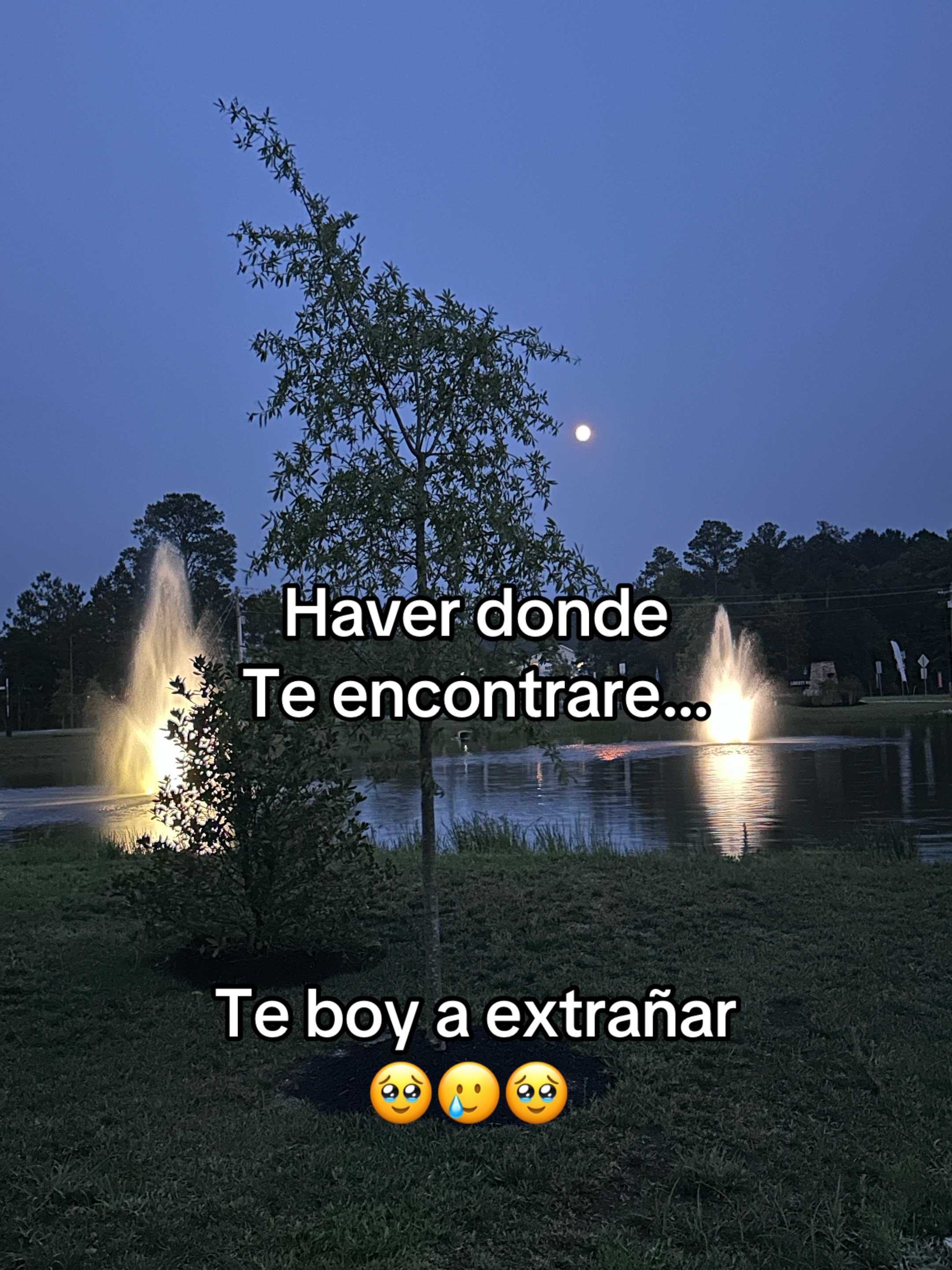 @Sandra