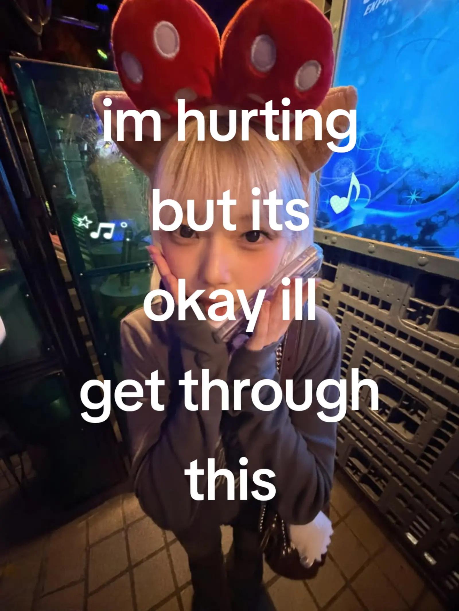 @🐈