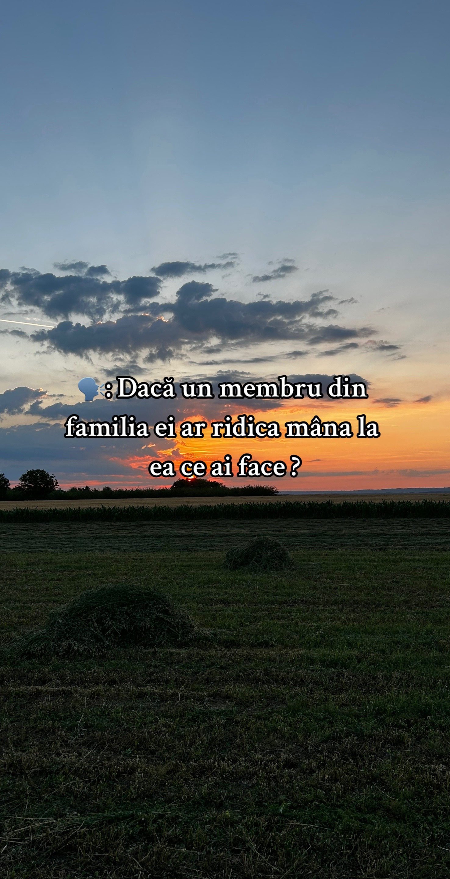 @renaldo
