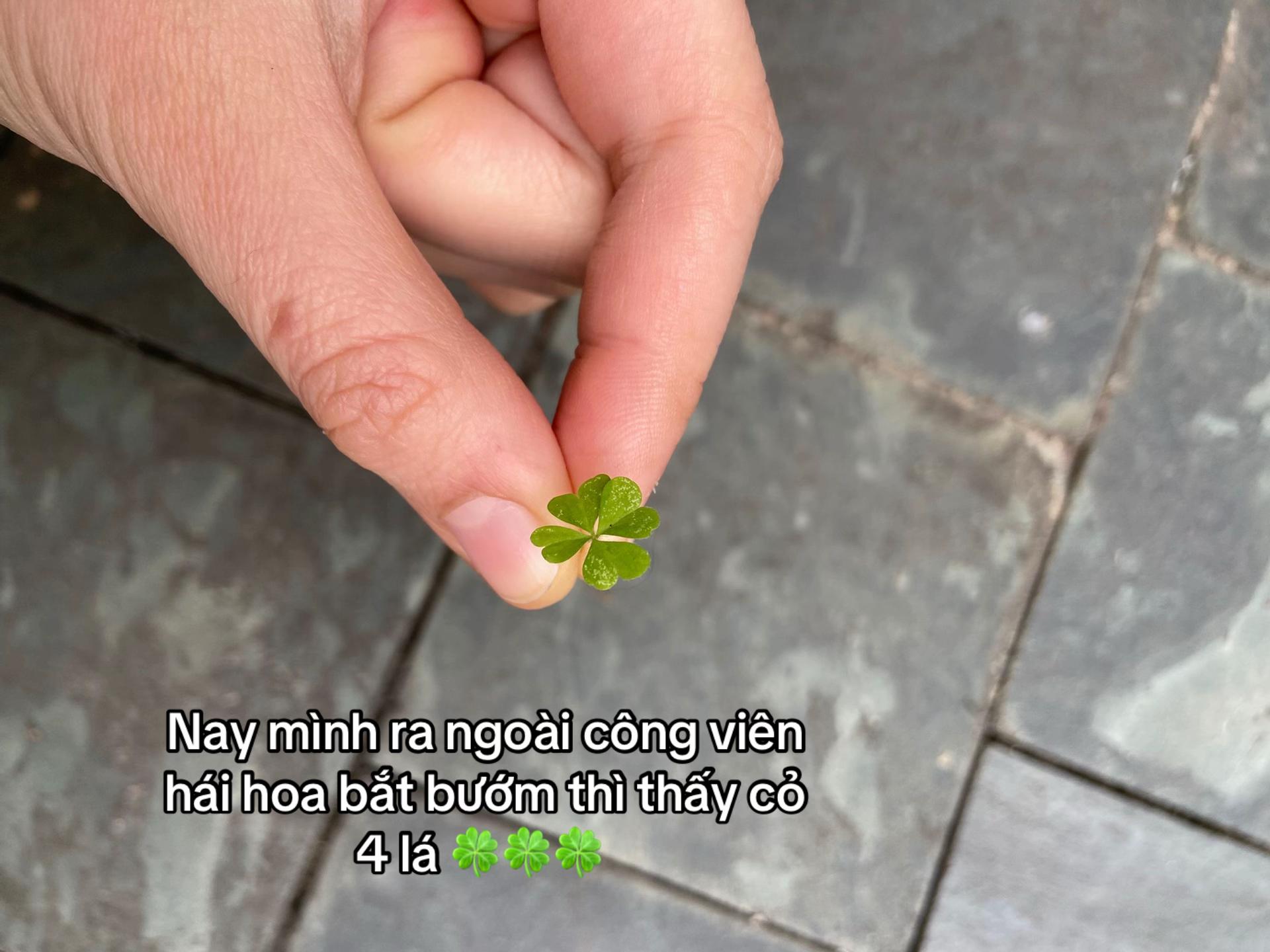 @🄲&aacute; 🄼ặ🄽 🄺🄷&oacute; ẻ