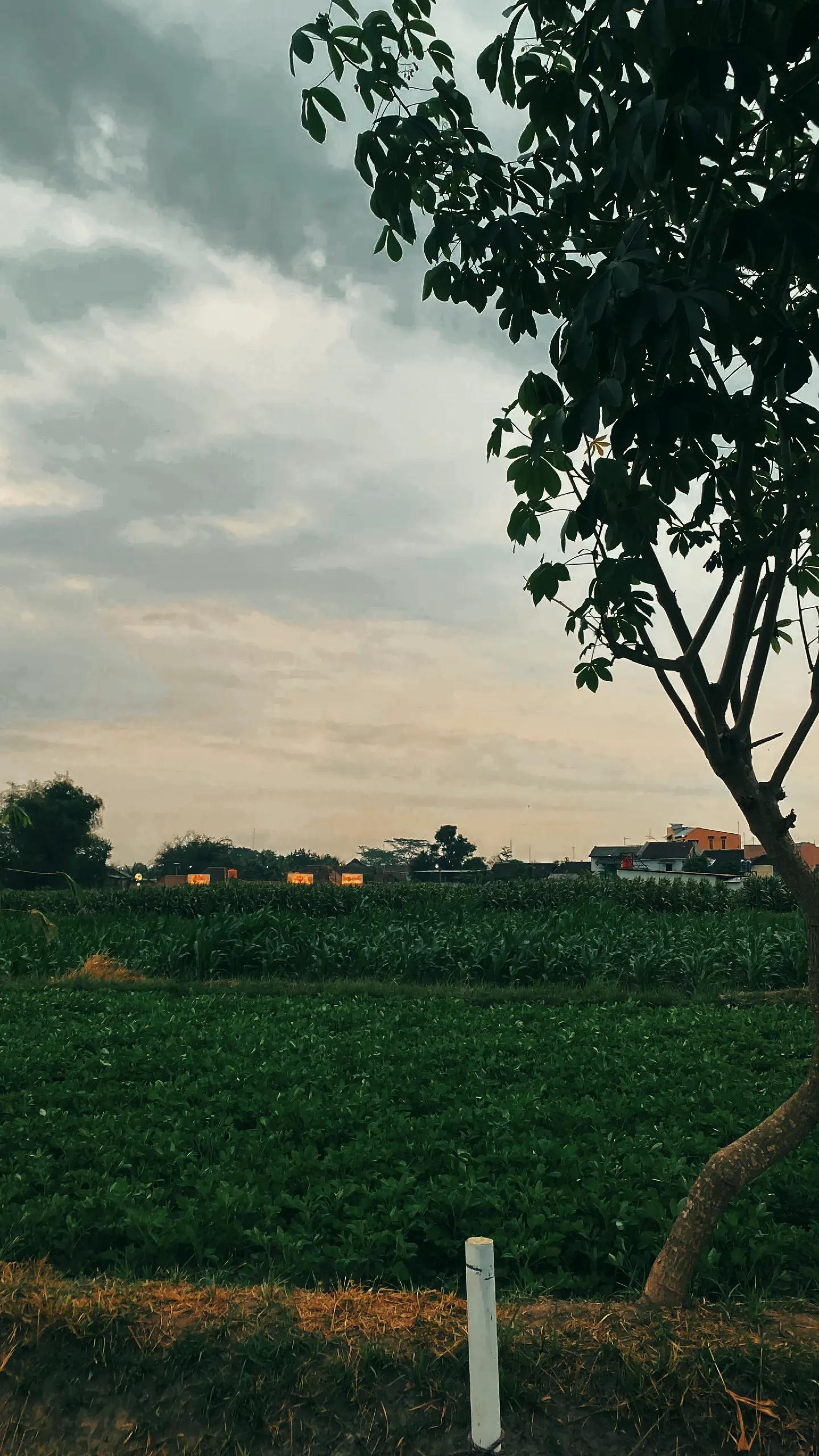 @Nara ♡