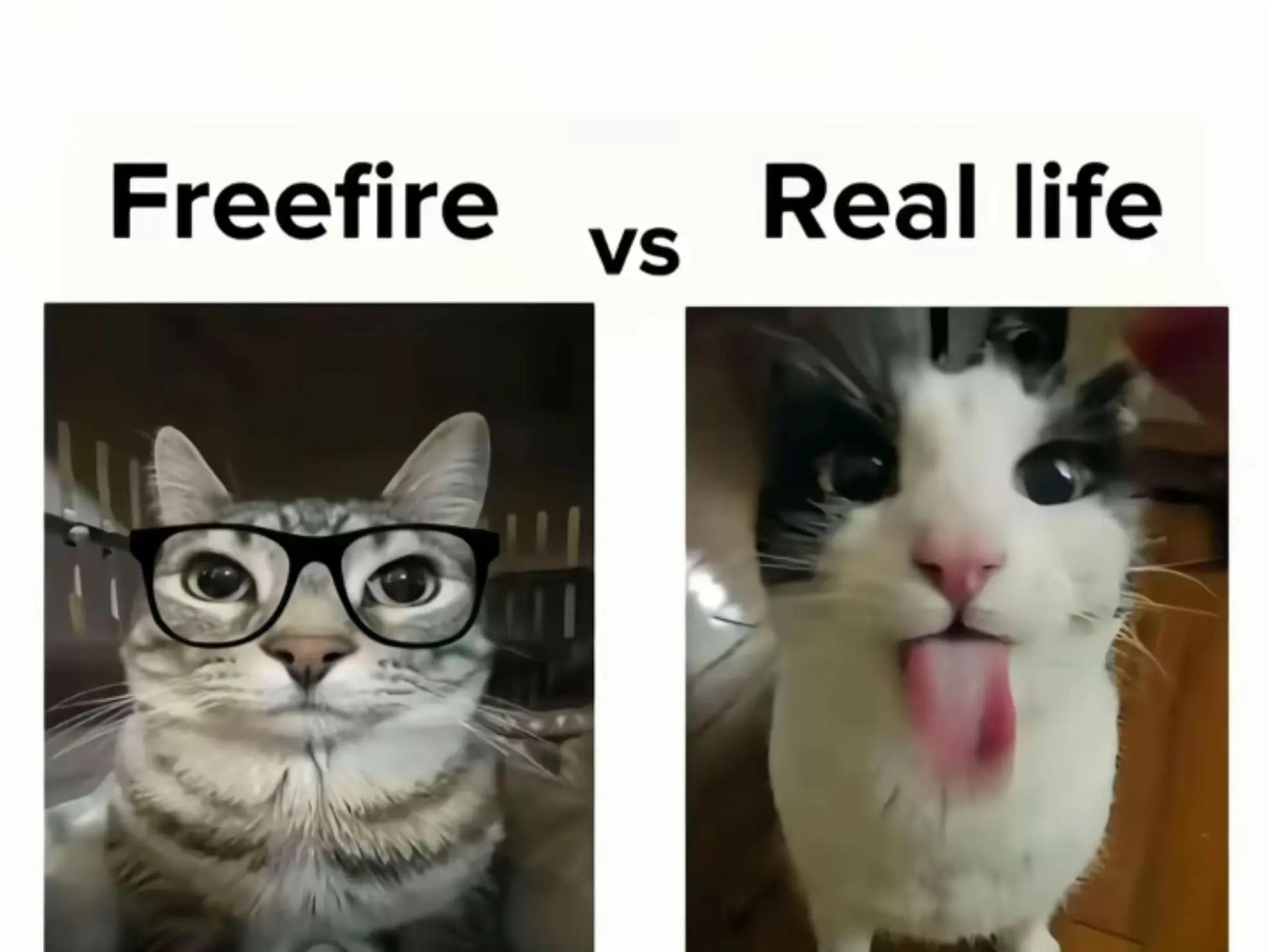 @SEHABE
