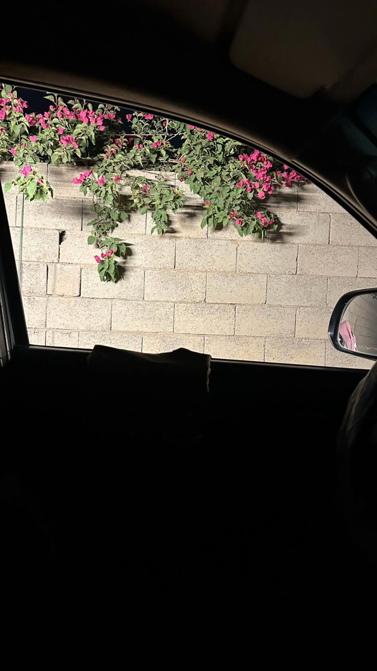 @مُـحَـمّـد