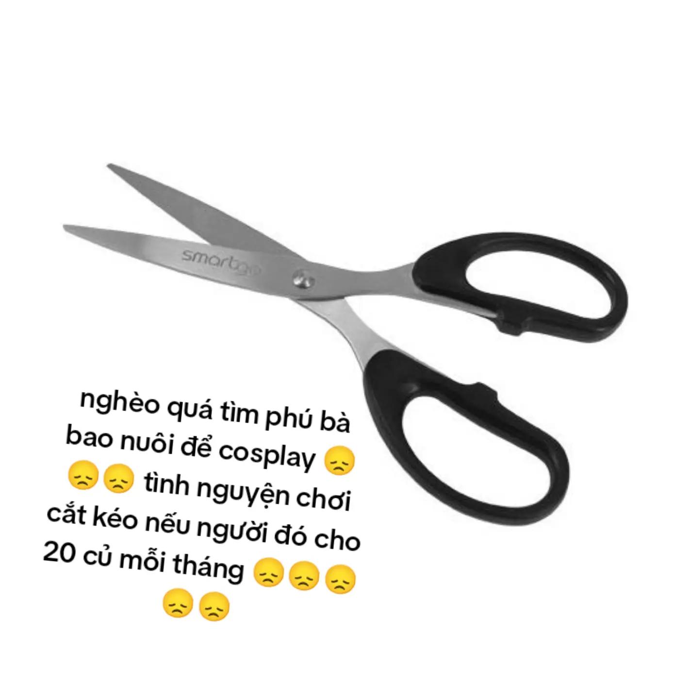 @tsumeri tư bản đi cosplay_🎤