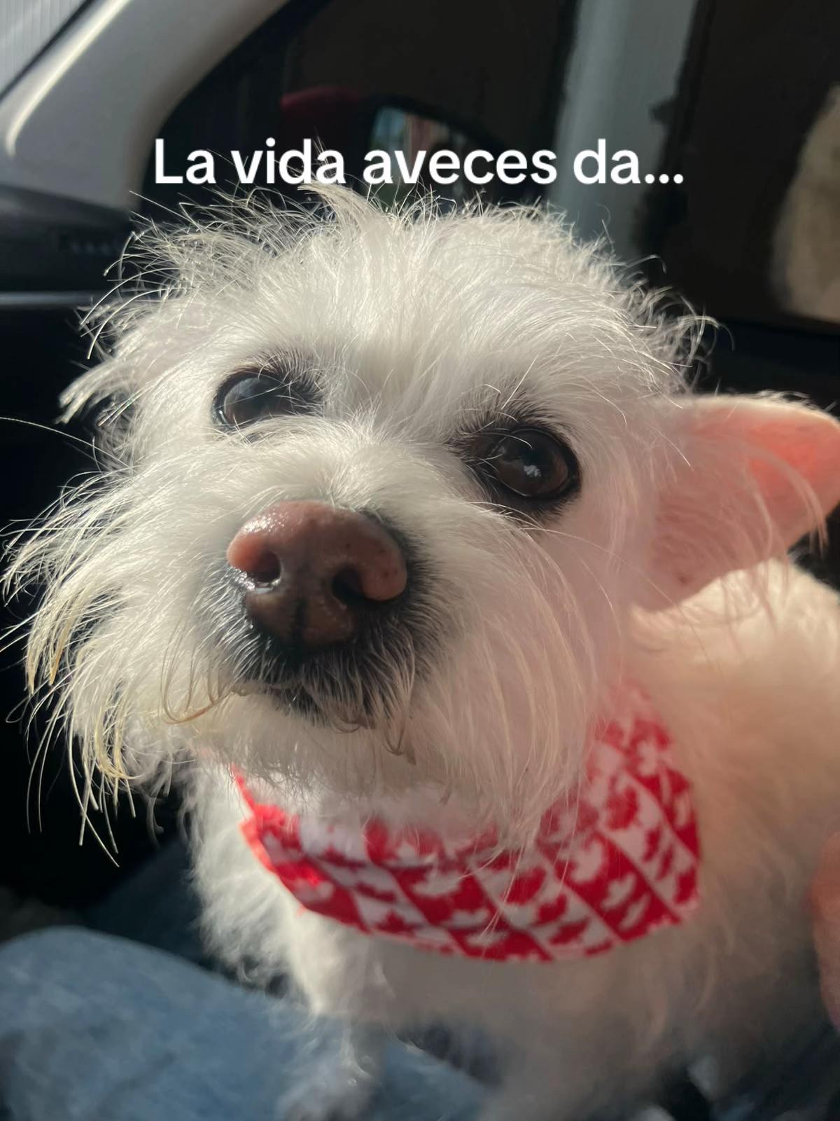@Lara_RM