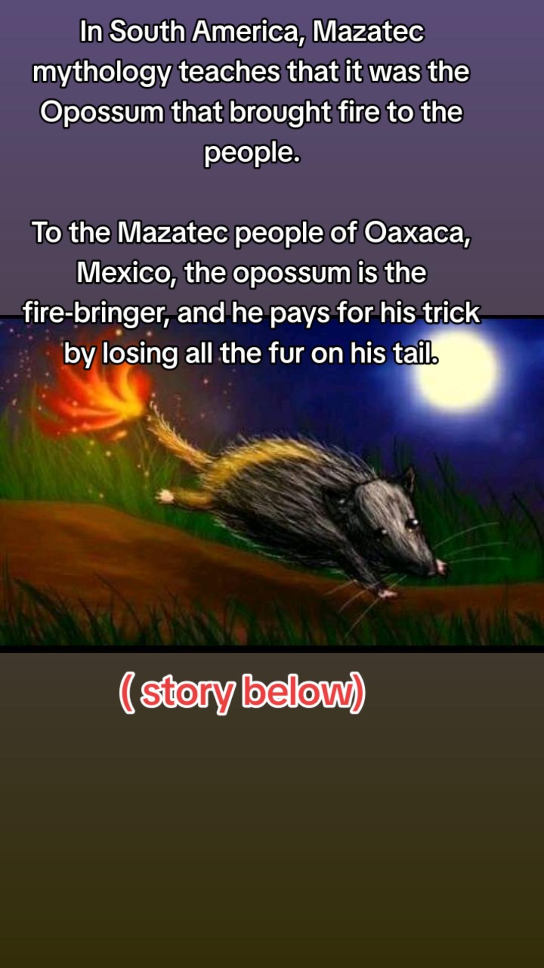 @OPOSSUMDAWGMOM