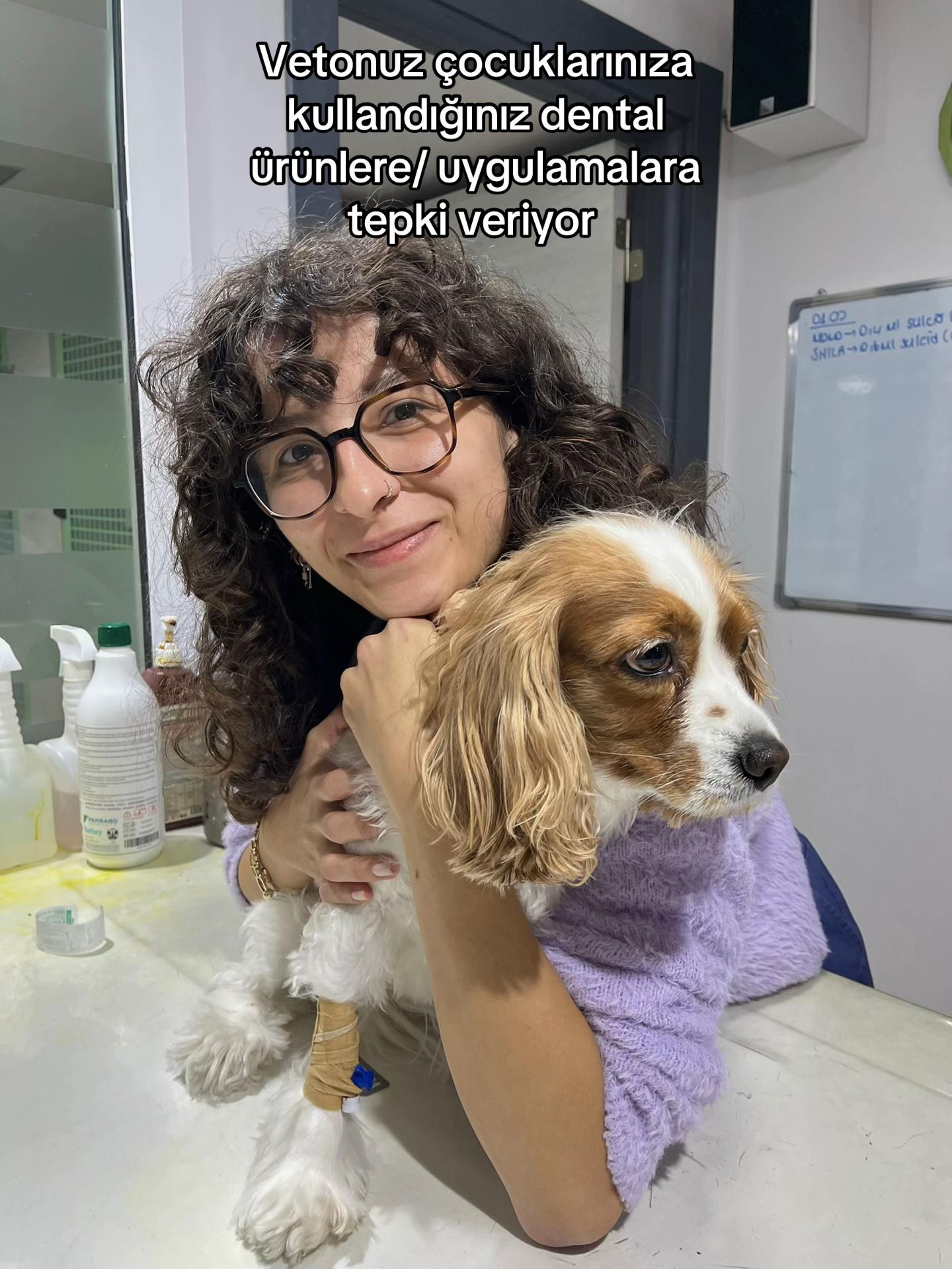 @vetmelo