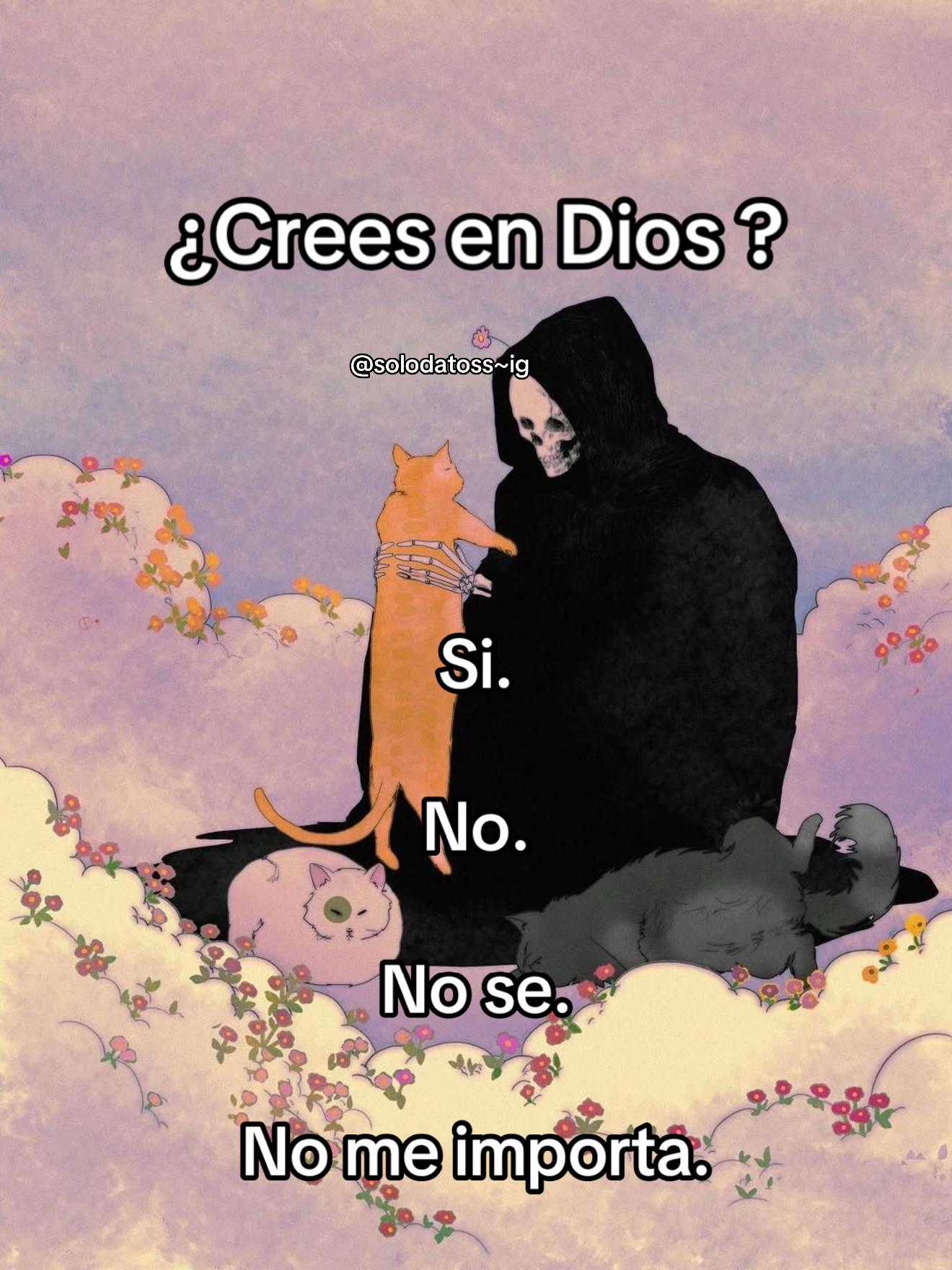 @SoloDatos