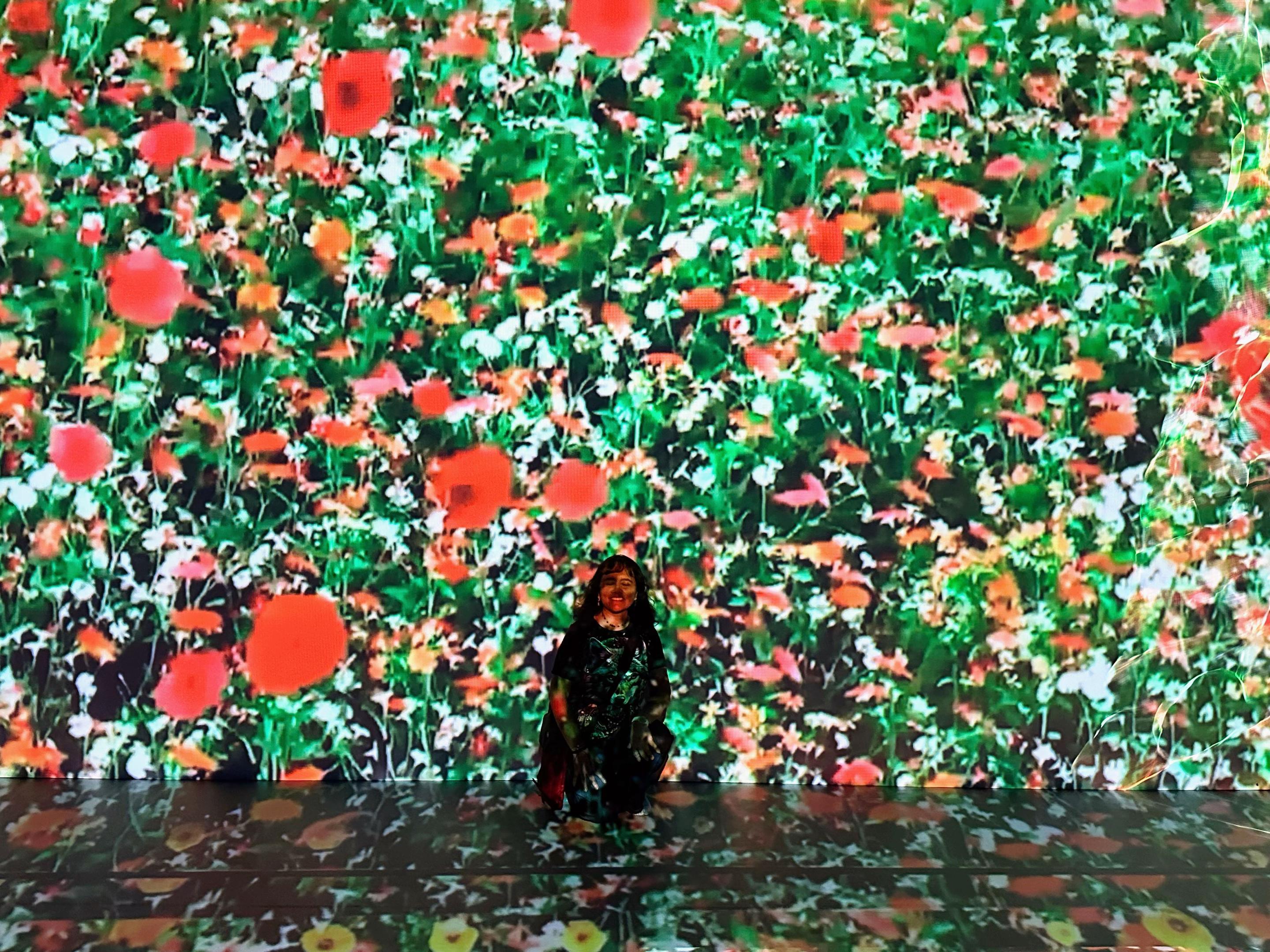 @ParapArt