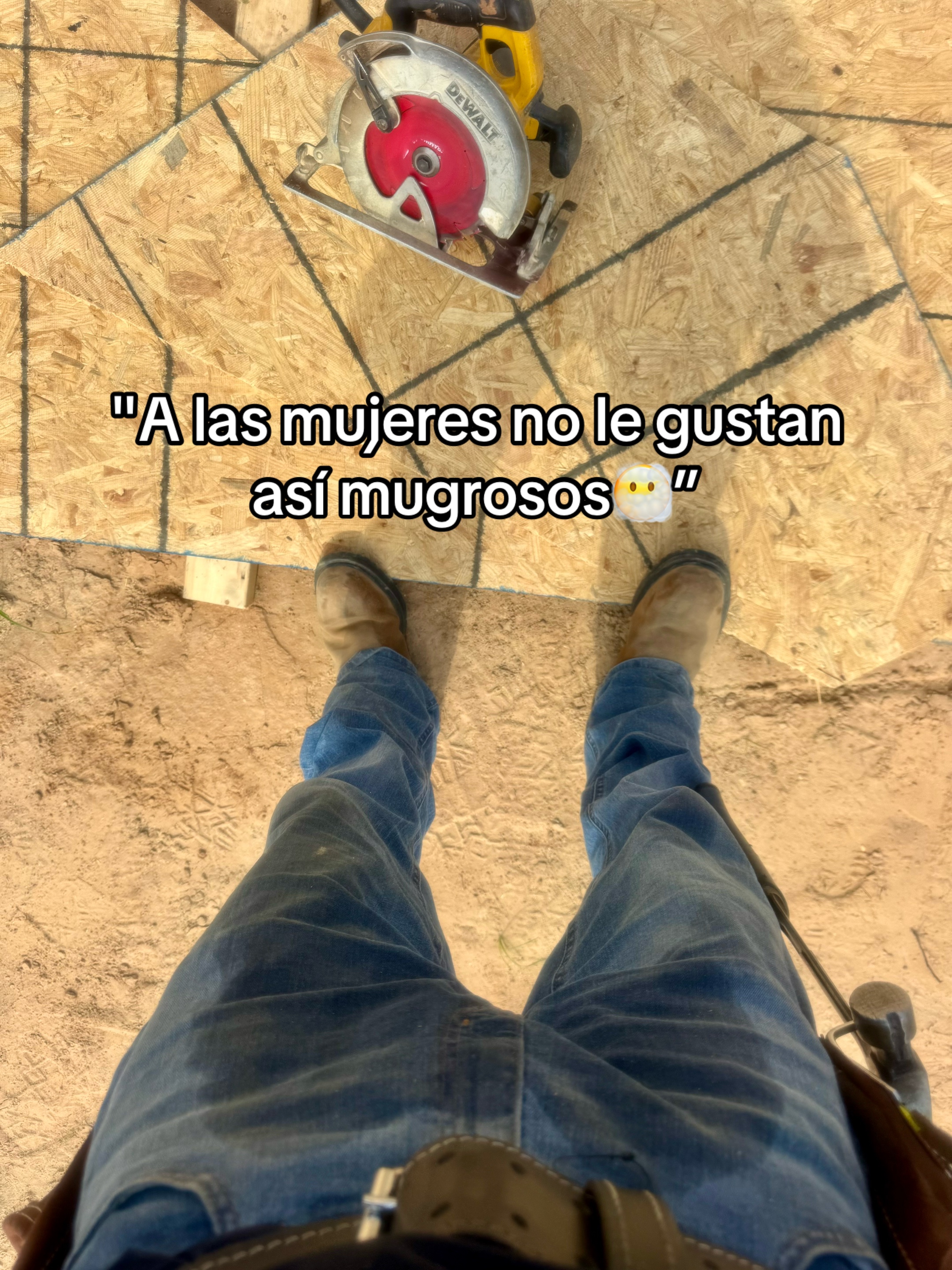 @qiique🕷️