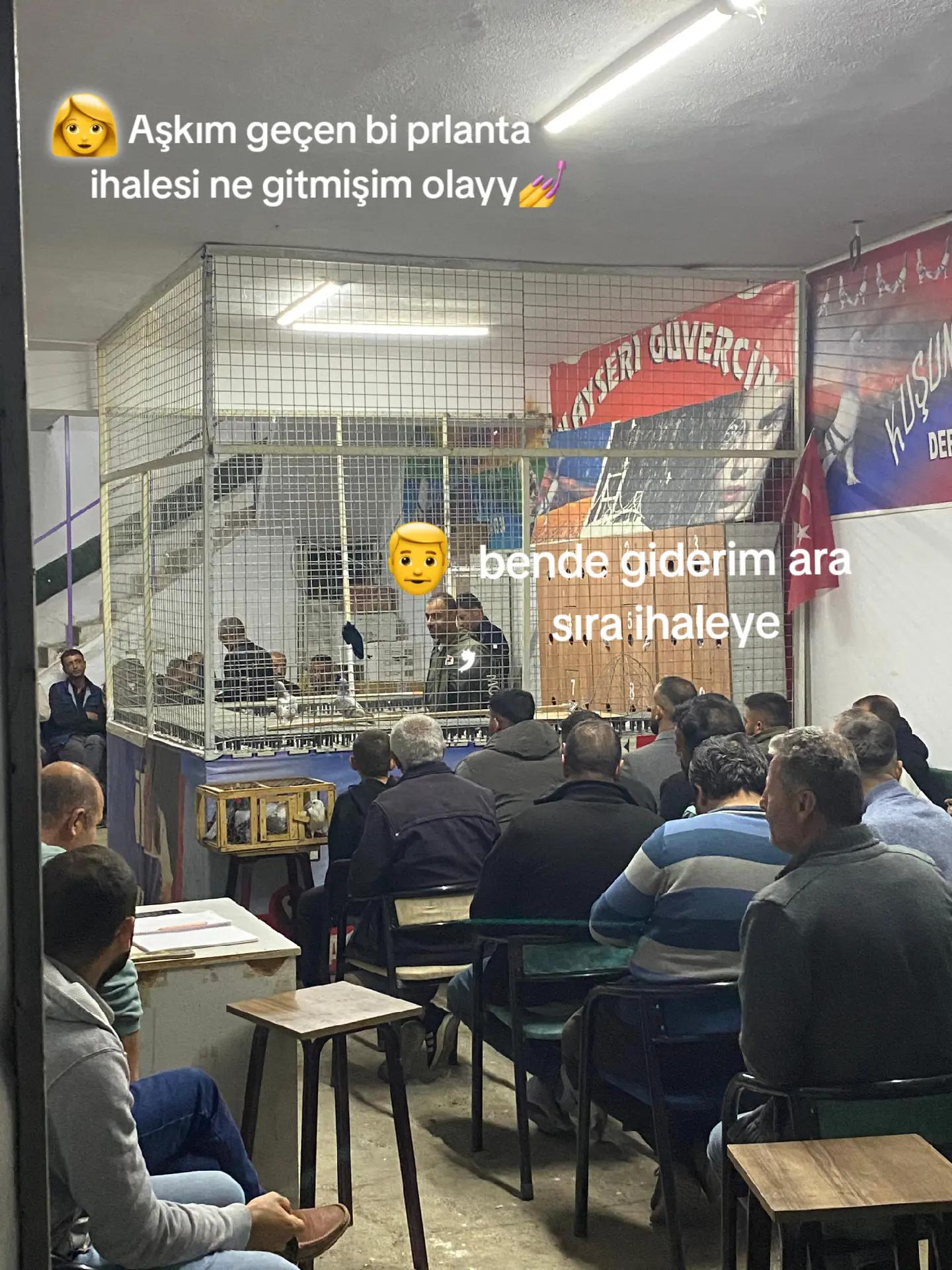 @Kayseri_Güvercin_diyarı🕊️