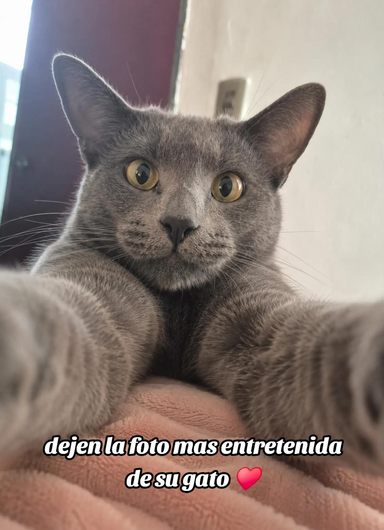 @Millaray Acevedo