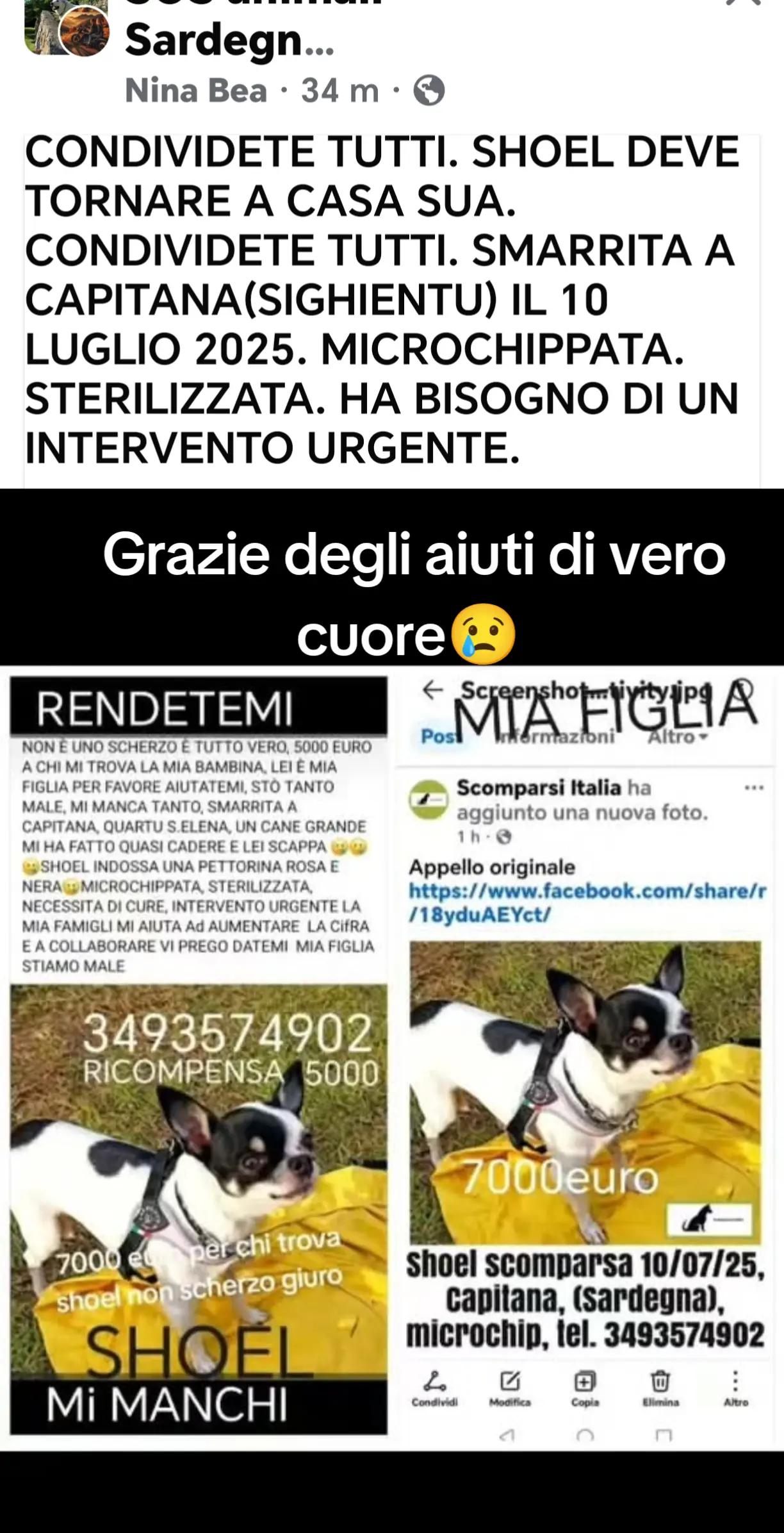 @GLI Sgomberi DI Monica paderi