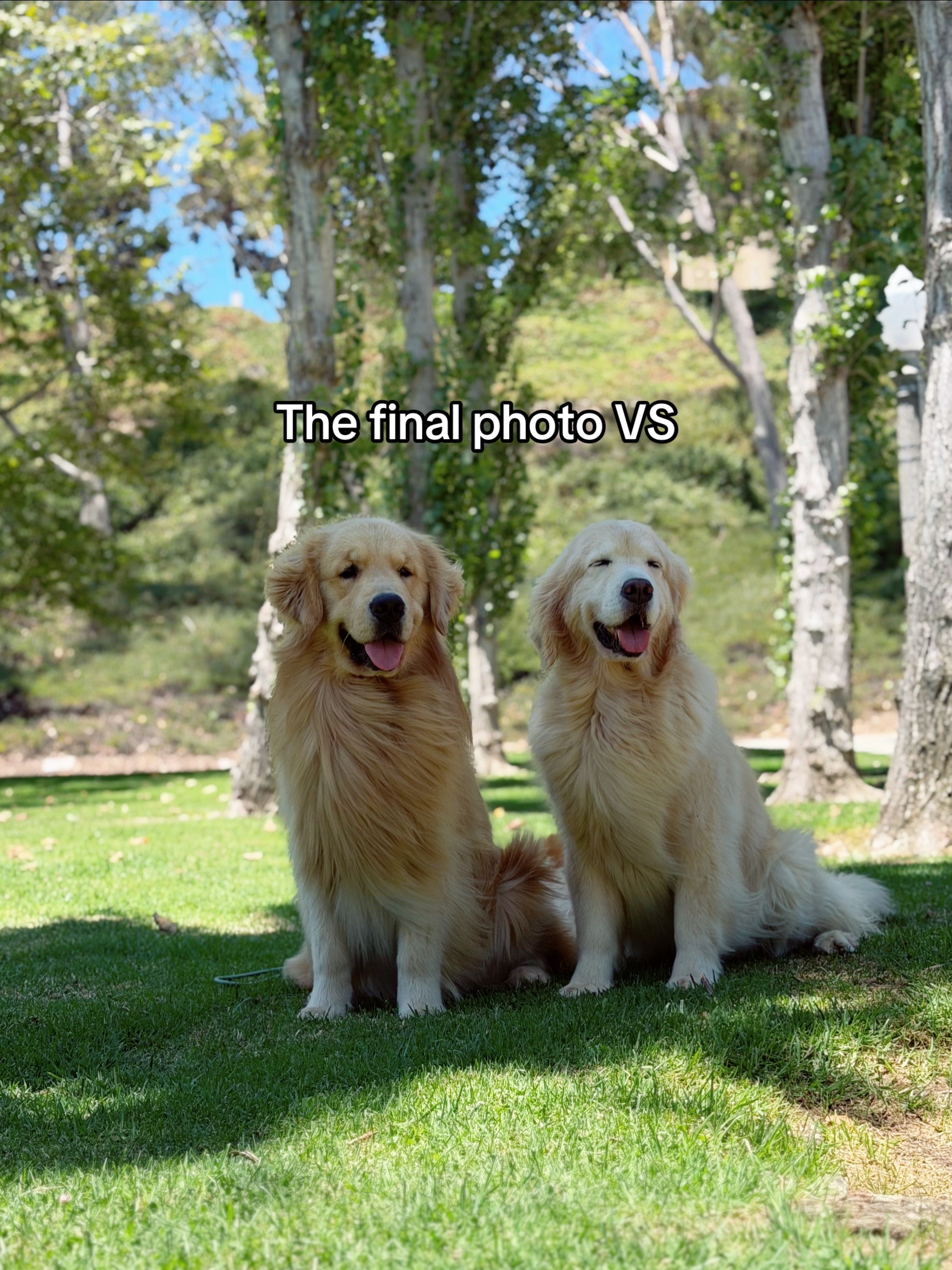 @Maui, Ruby +Hugo