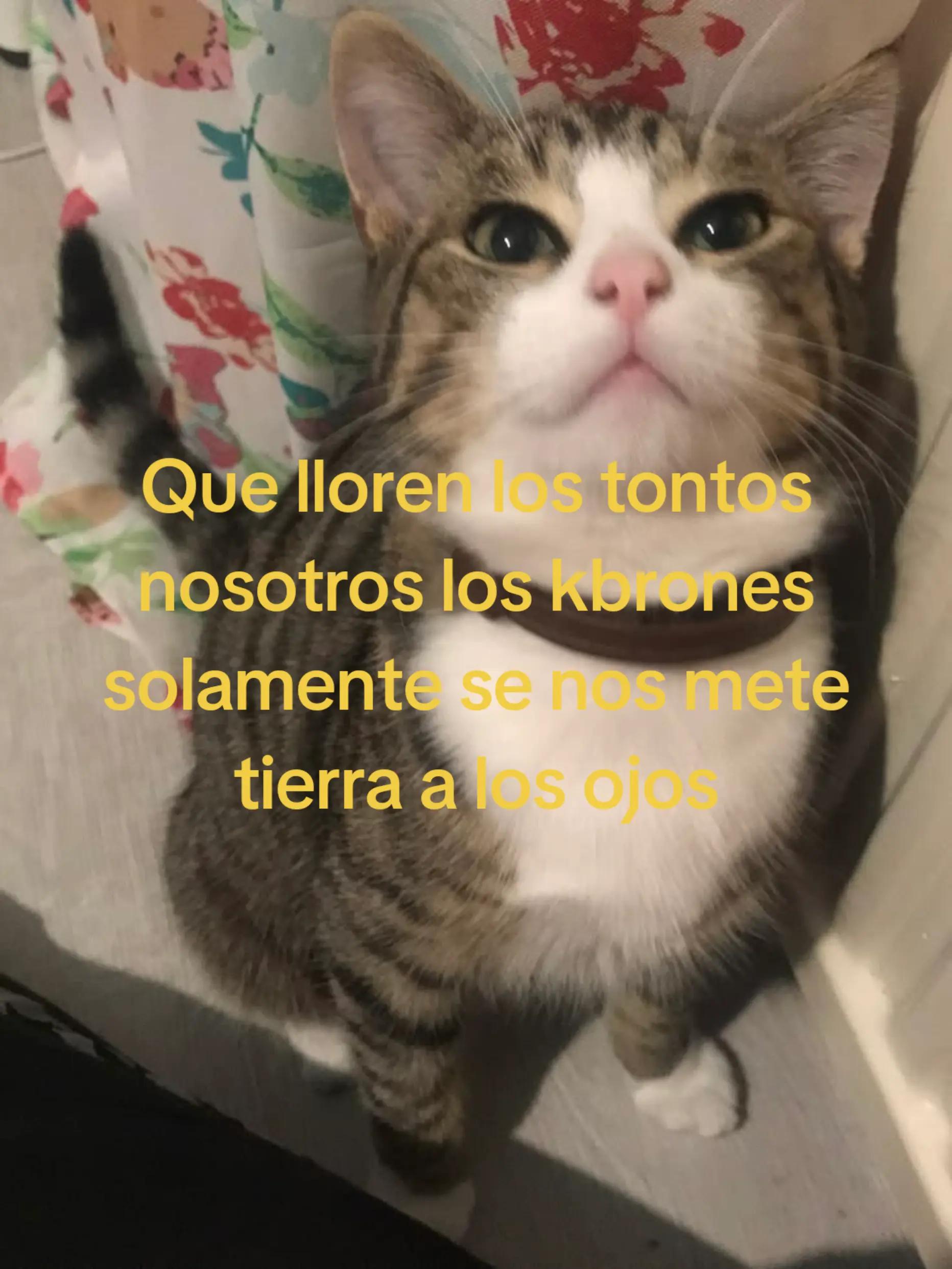 @G4b_n