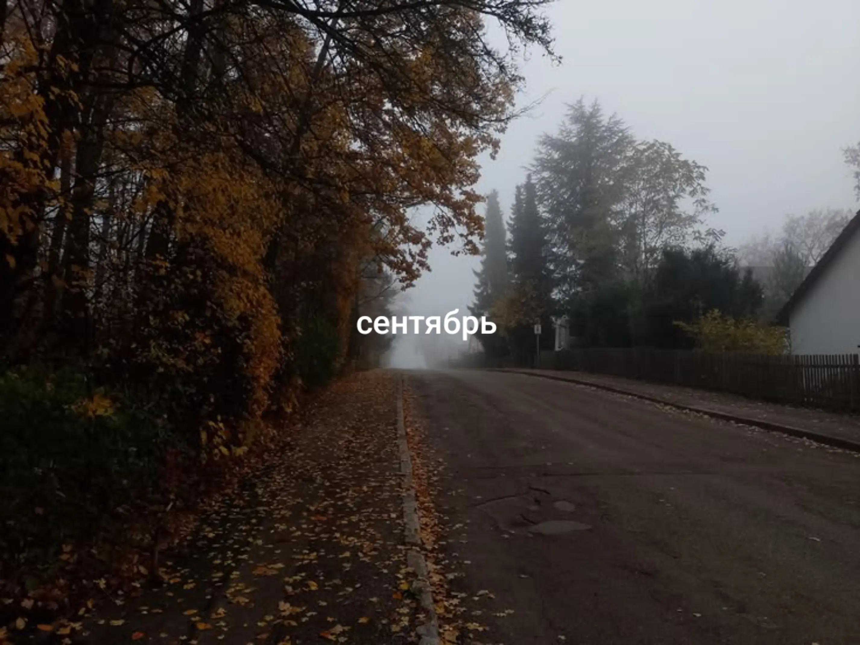 @мурч