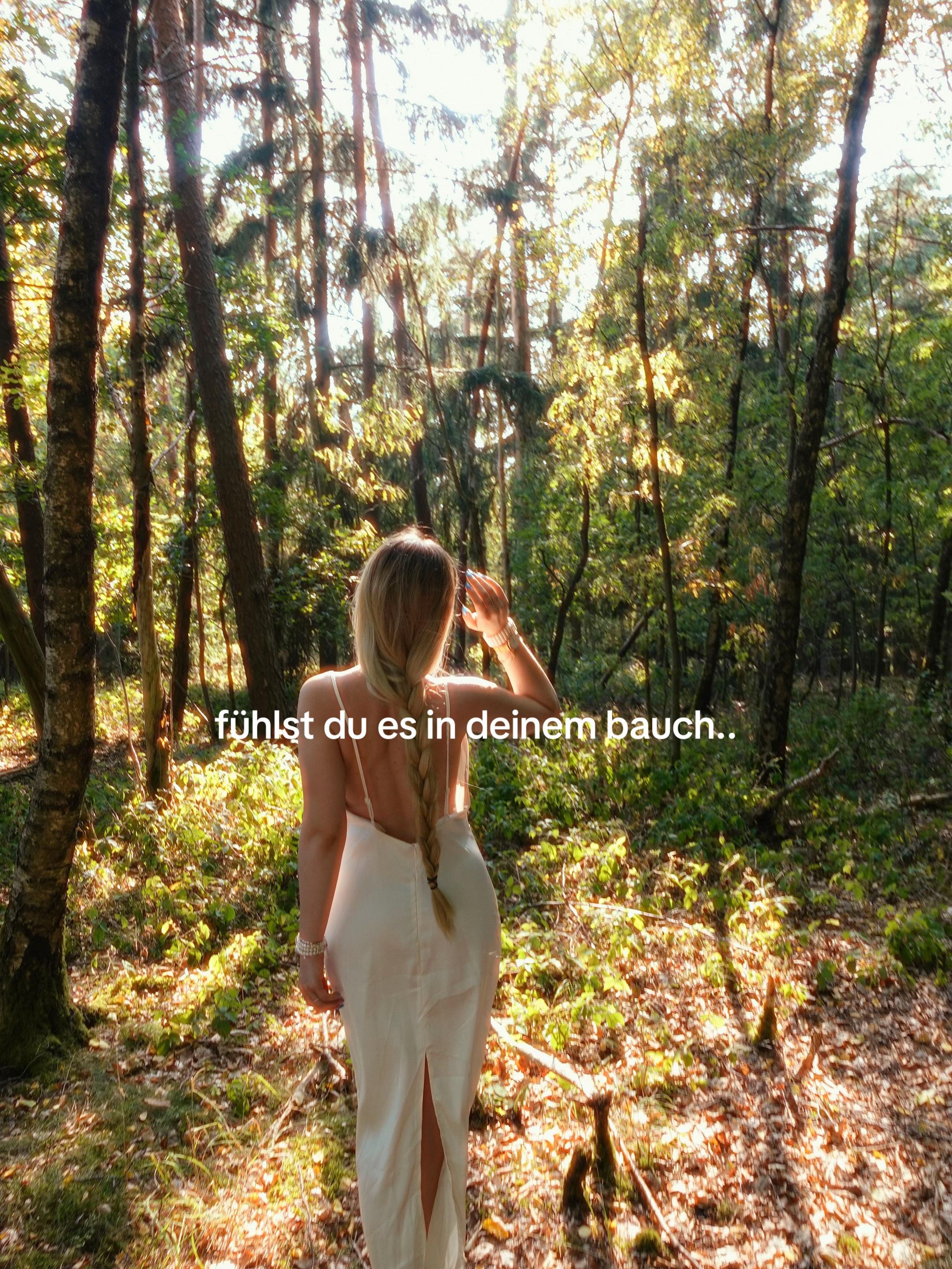 @diegeschwister_