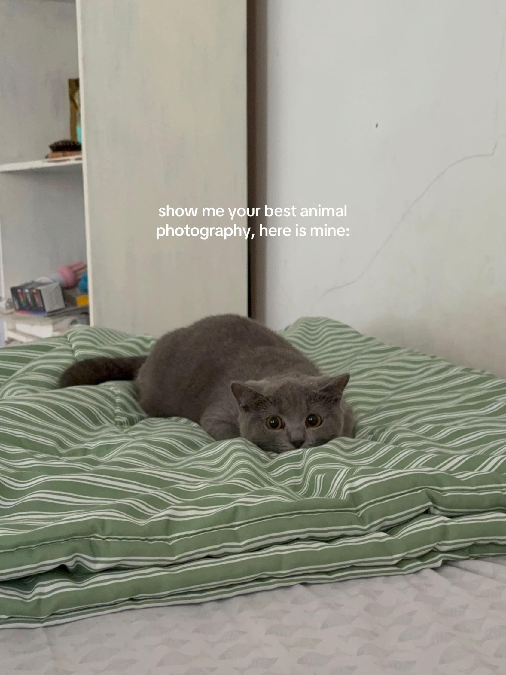 @ash🛋️