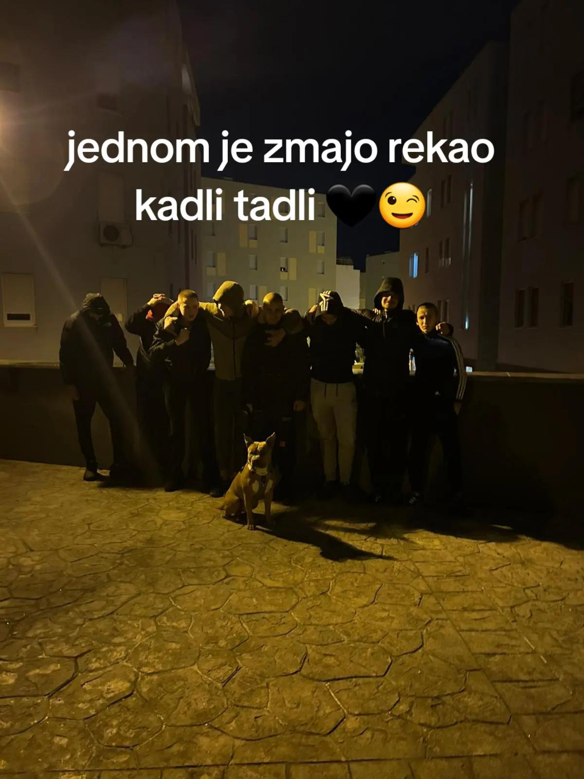 @ZMAJO👑