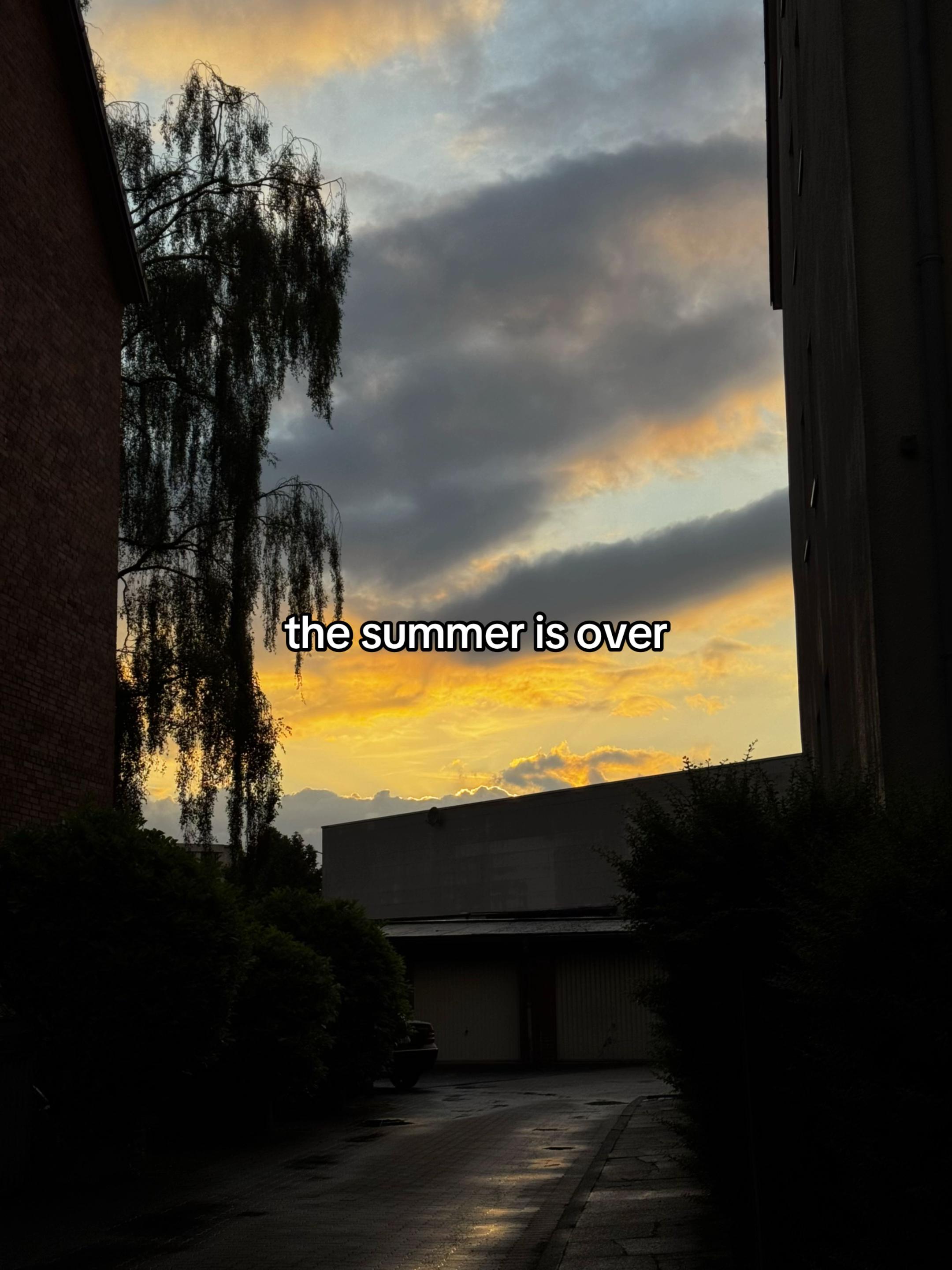 @Finꕤ