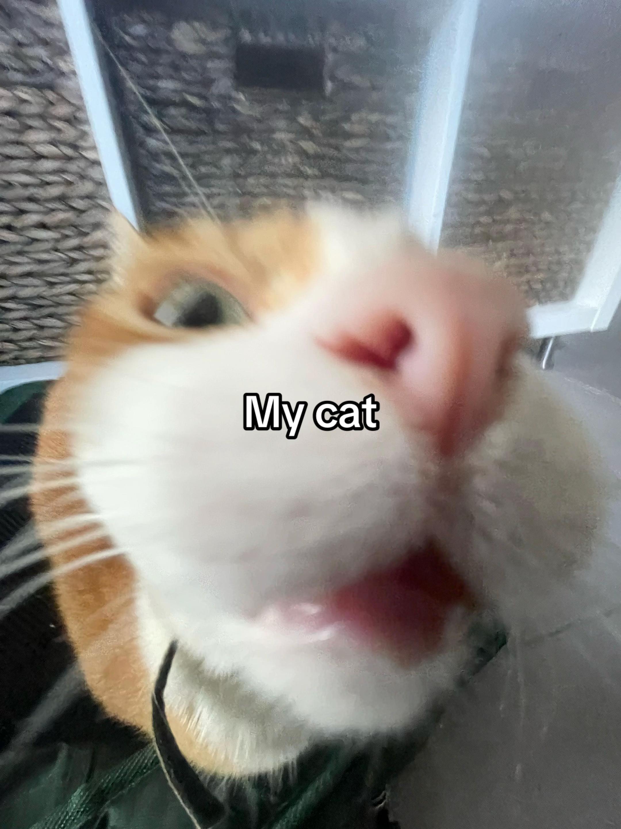 @nxte