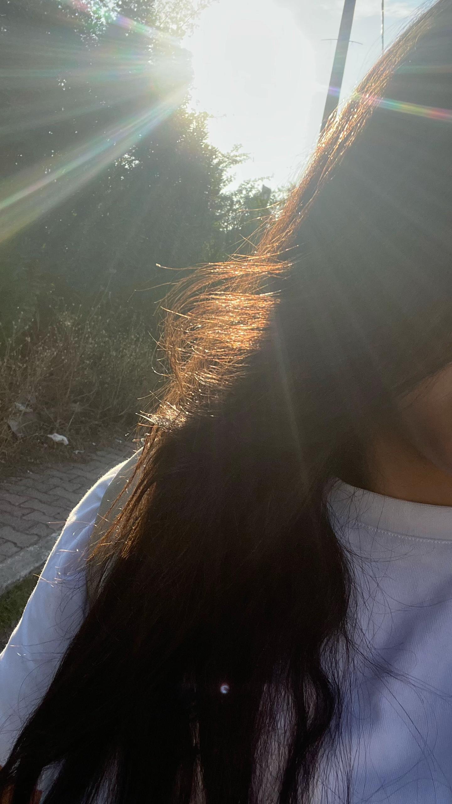 @Lily🐻🦢