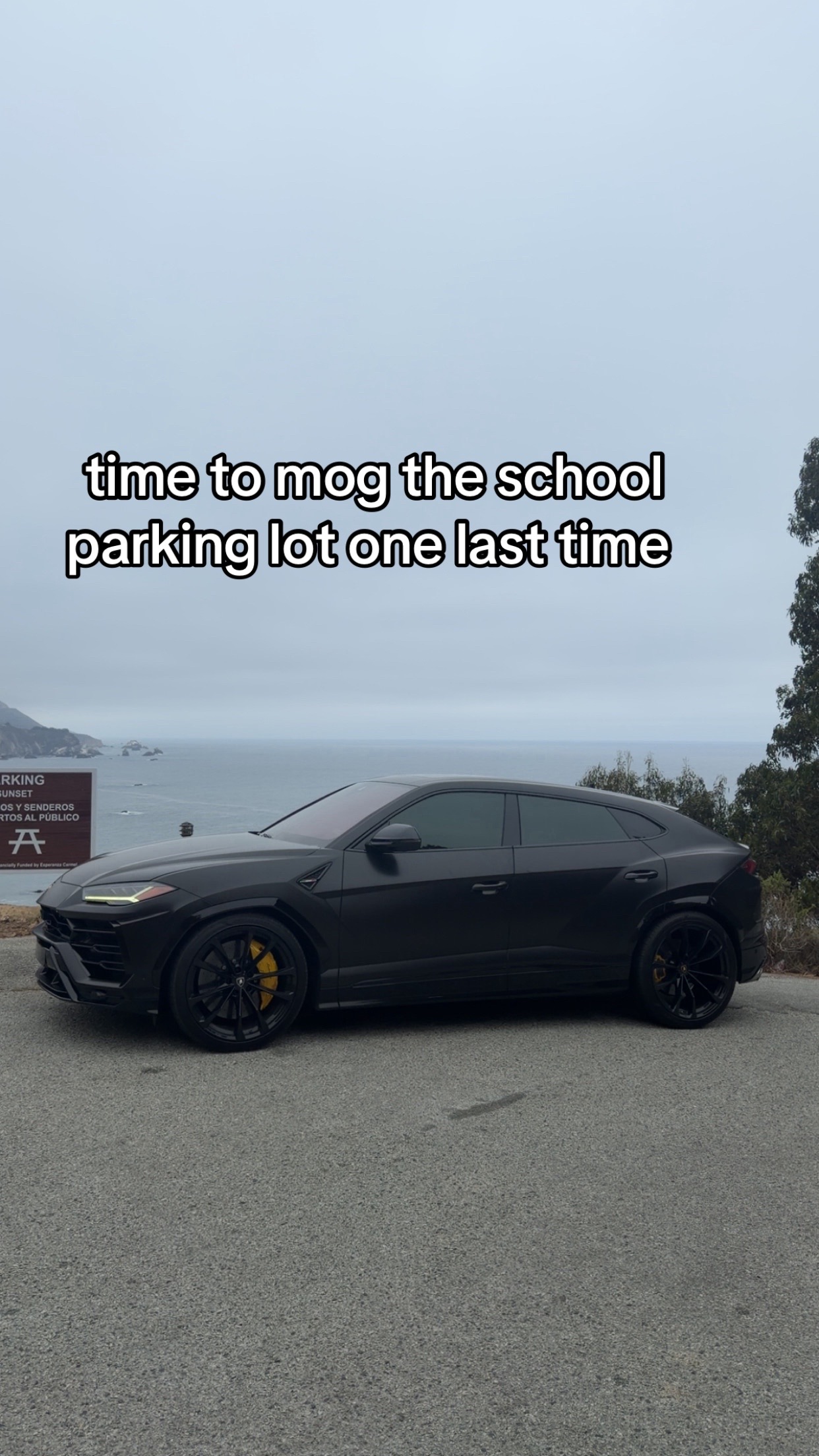 @sheeshg8x