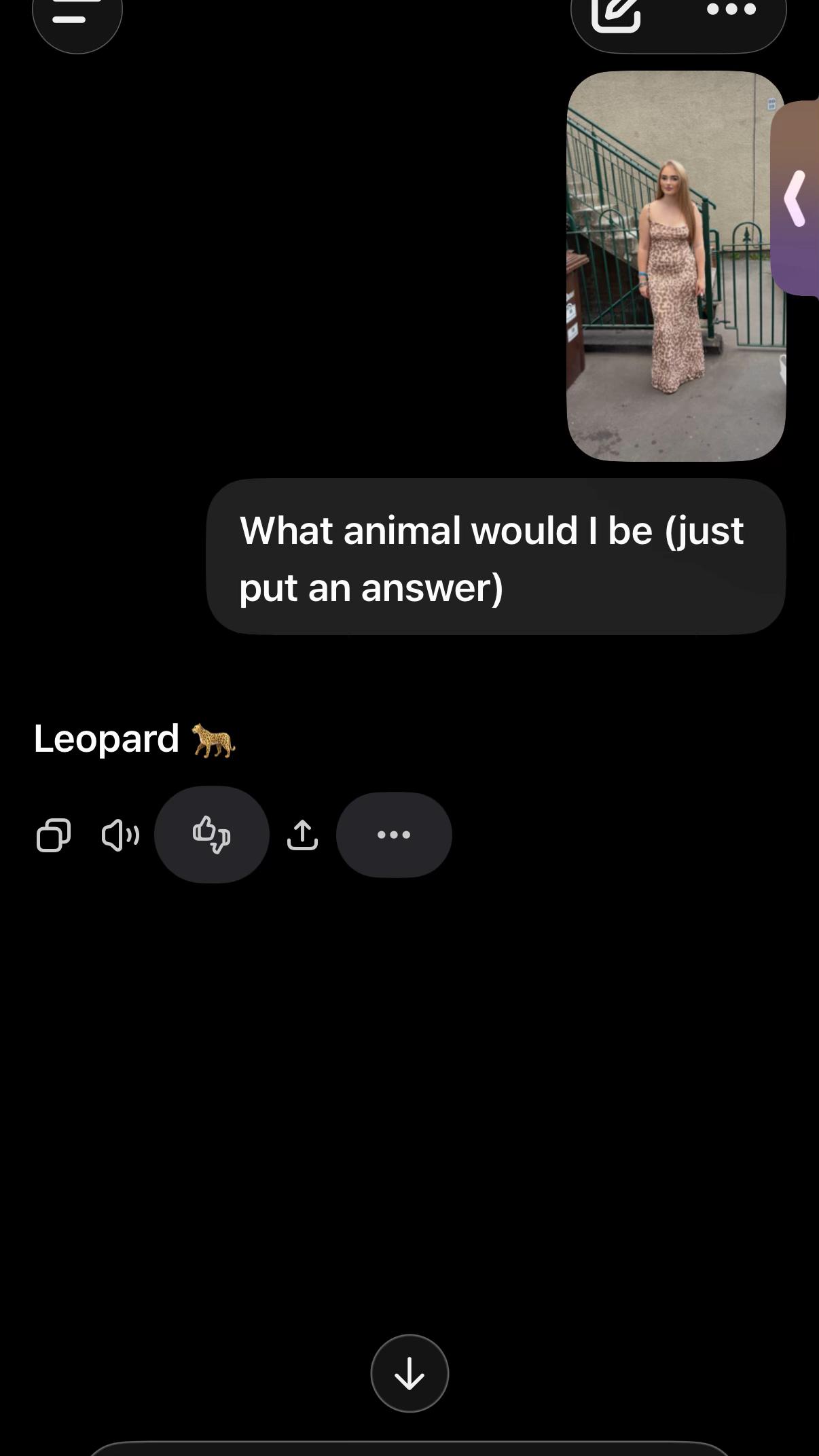 @meganx29