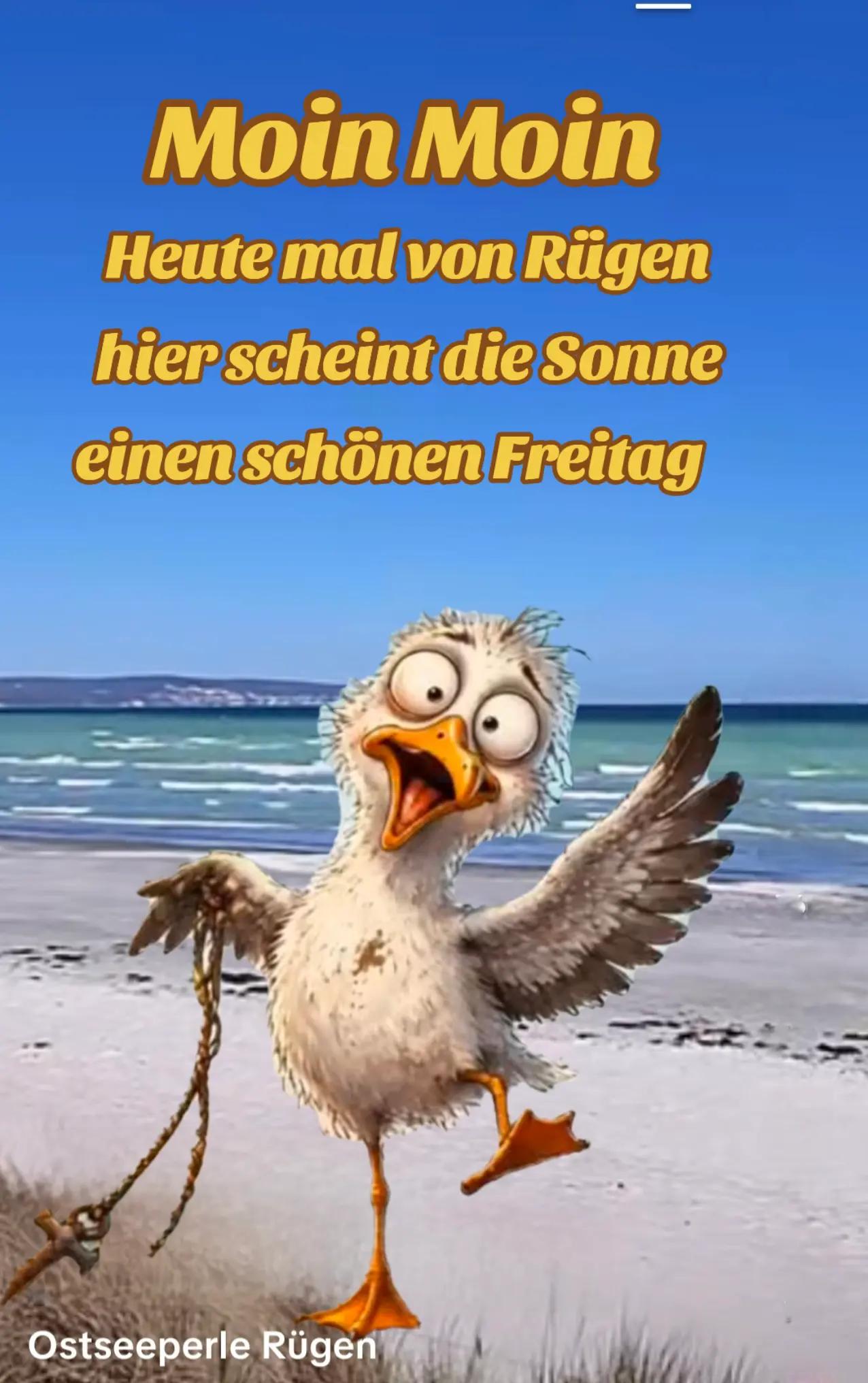 @geistlein12