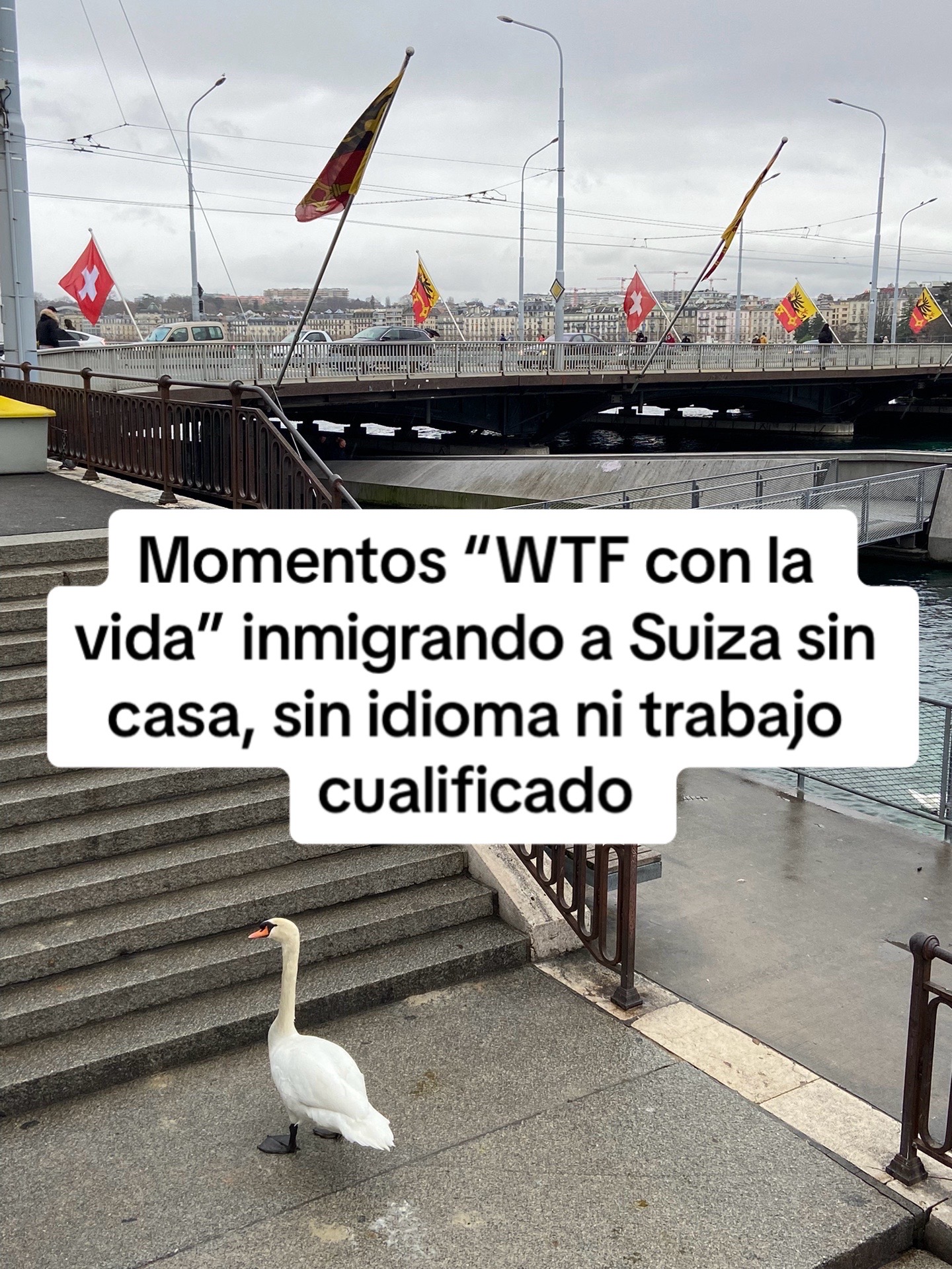 @celianmateo | tfg +tfm