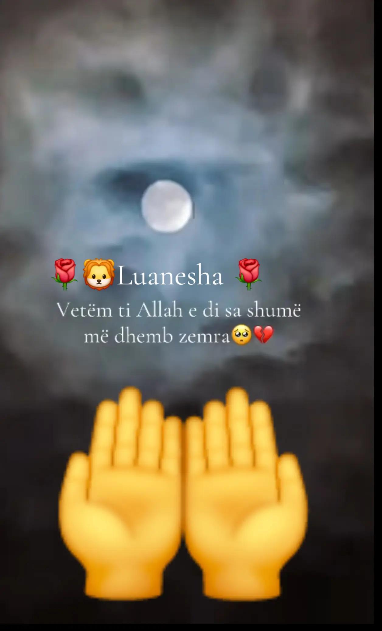@🌹🦁LuaneshA🌹