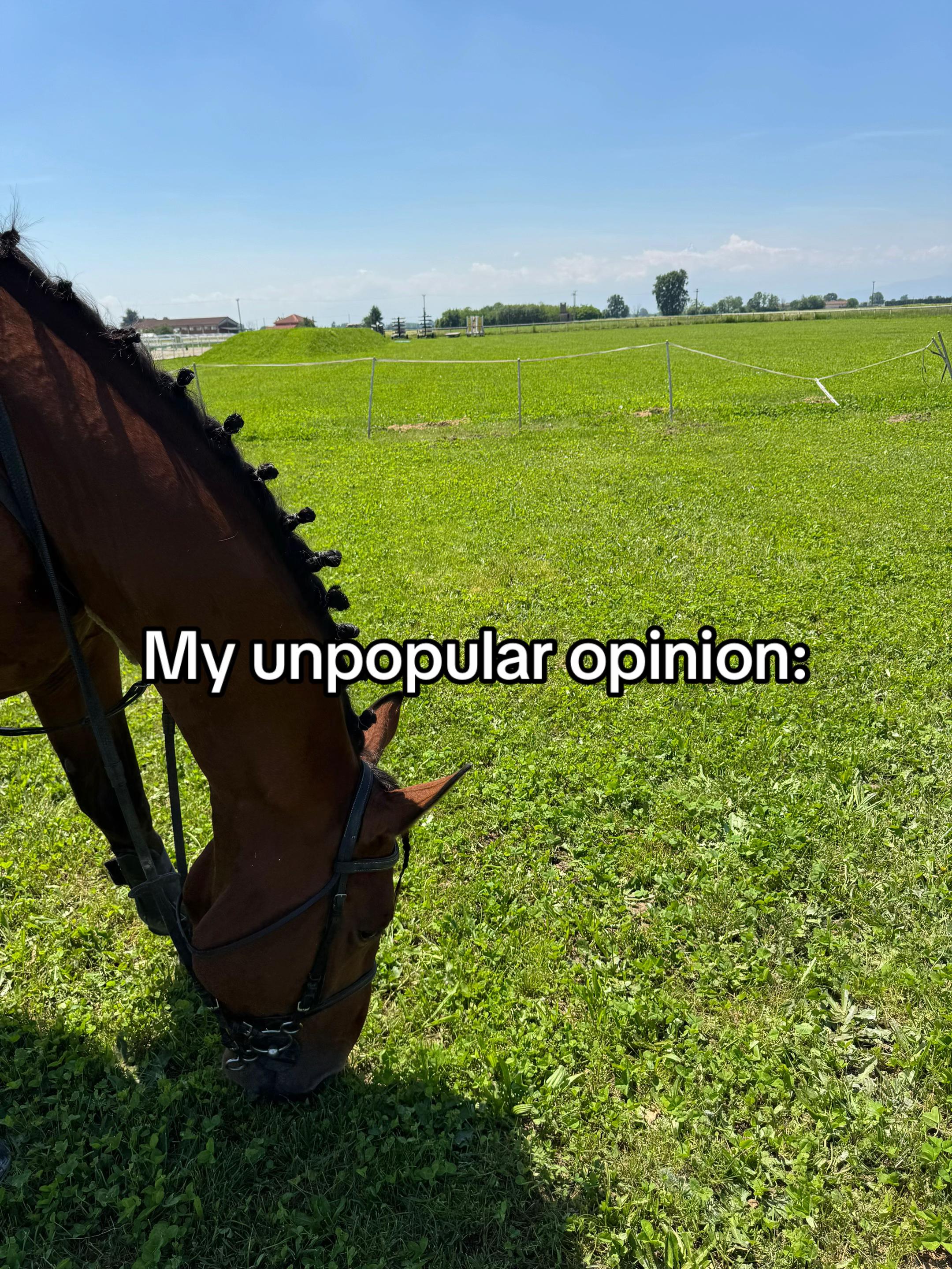 @alice peccerillo
