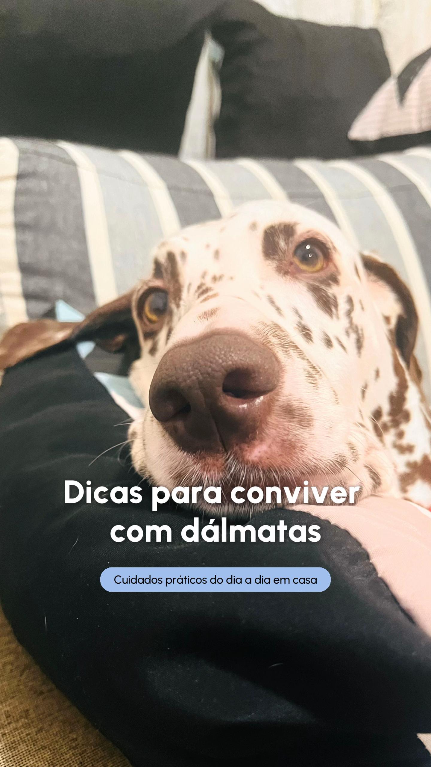 @Margô e Jude