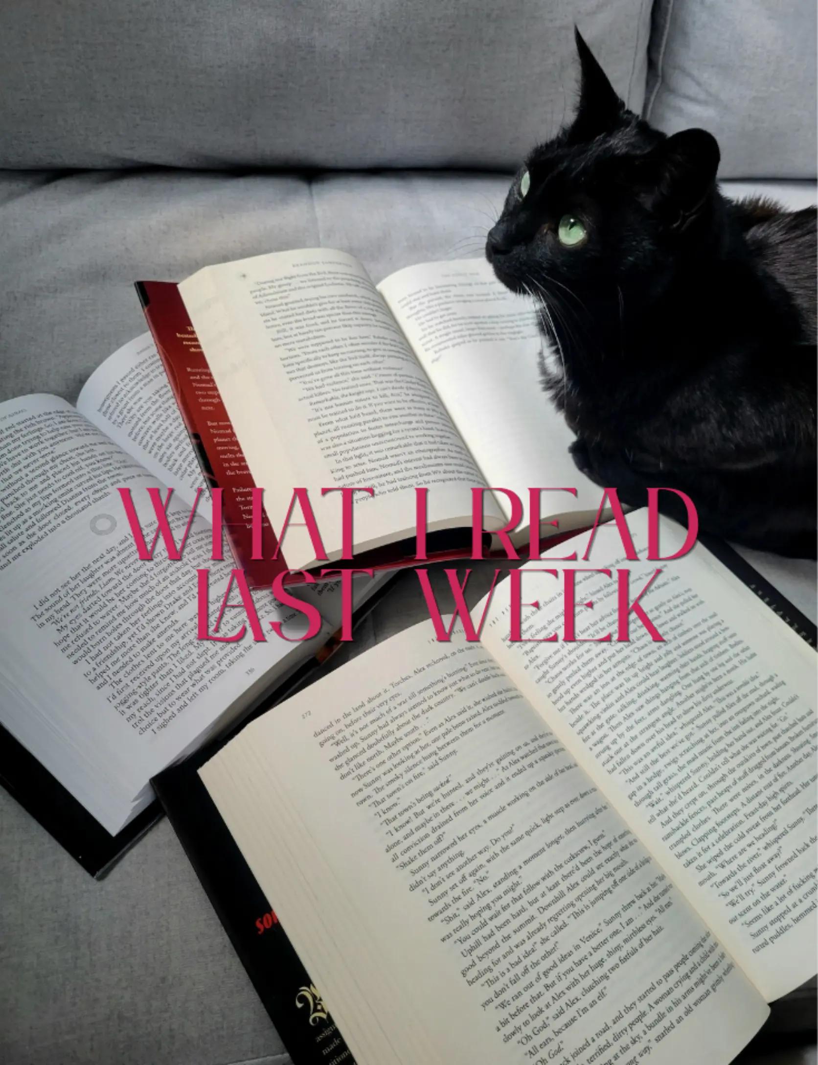 @Ashley 📚🐉🗡
